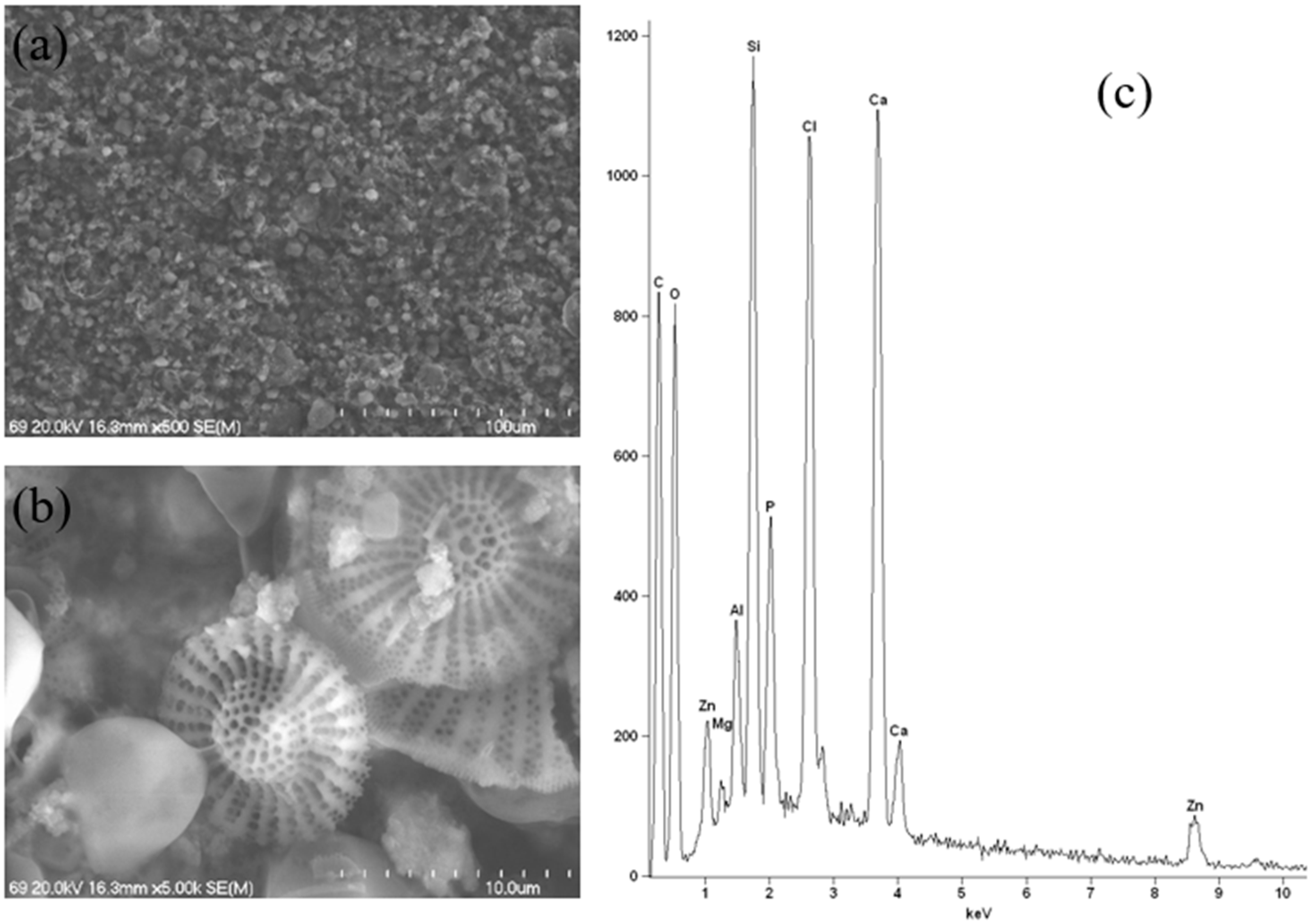 Molecules 30 04050 g015