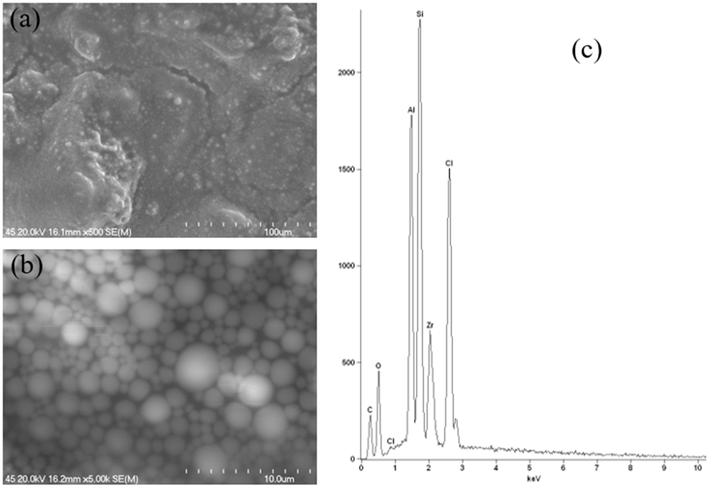Molecules 30 04050 g016