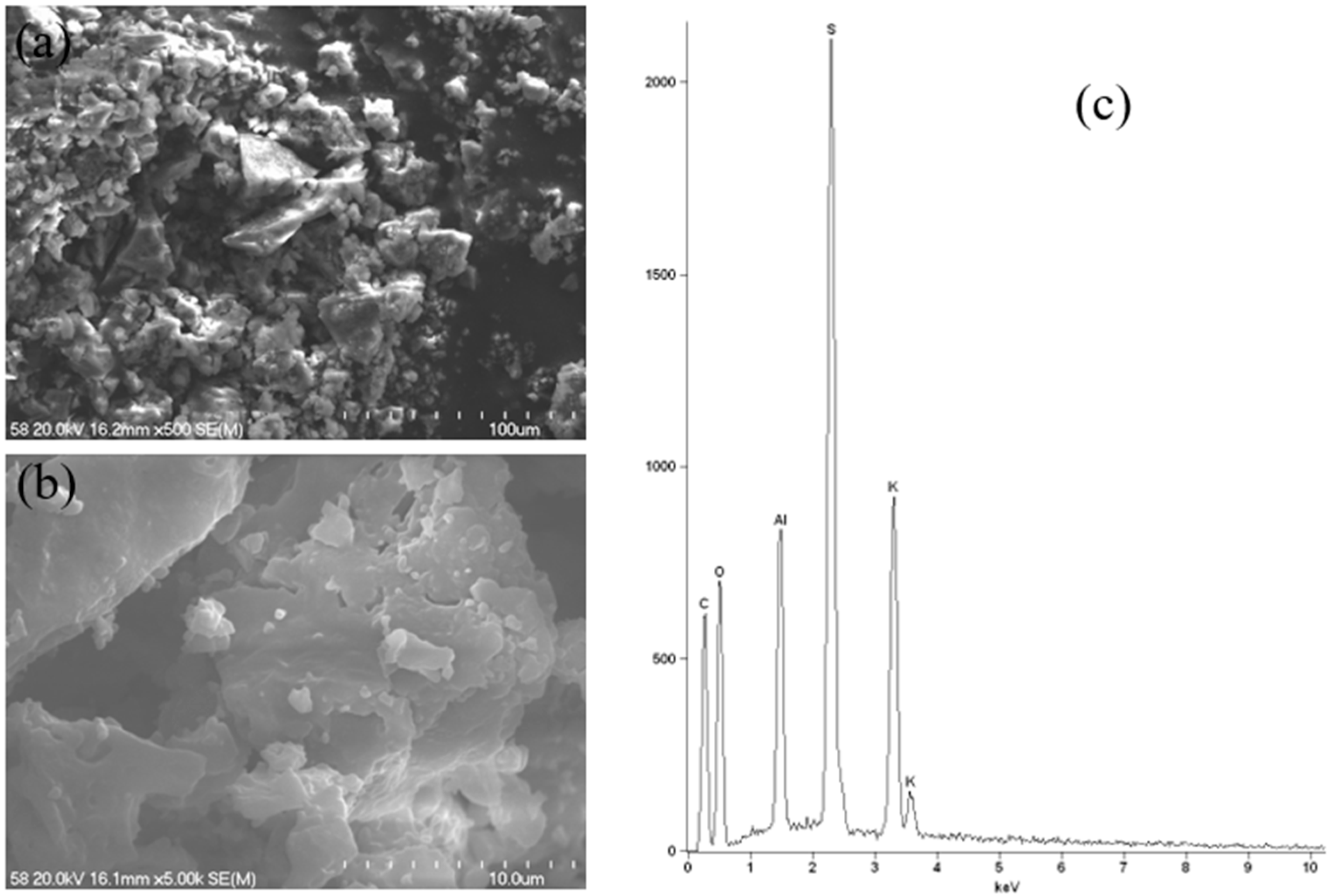 Molecules 30 04050 g017