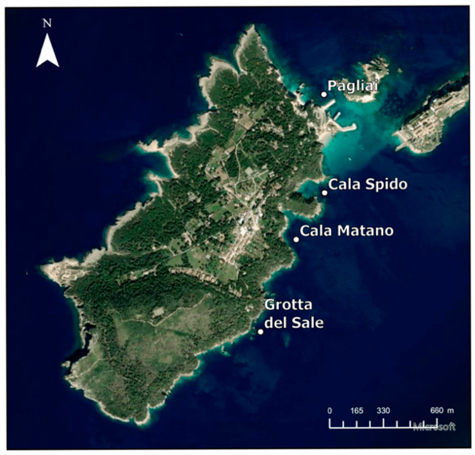 Molecules 30 04051 g008