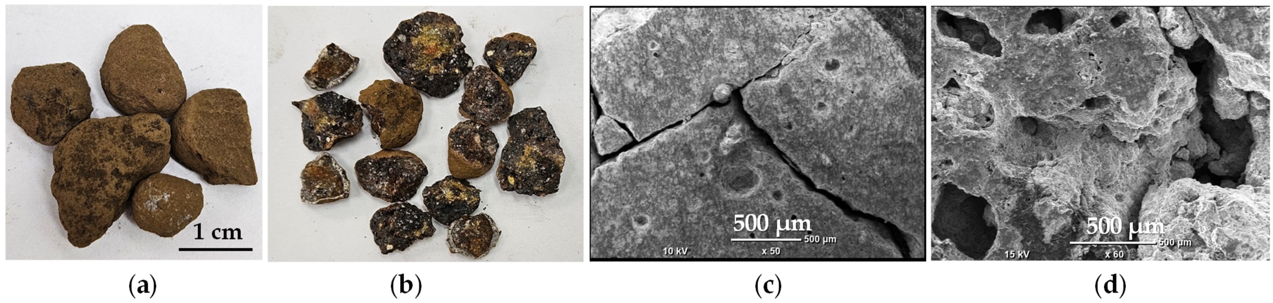 Molecules 30 04055 g003