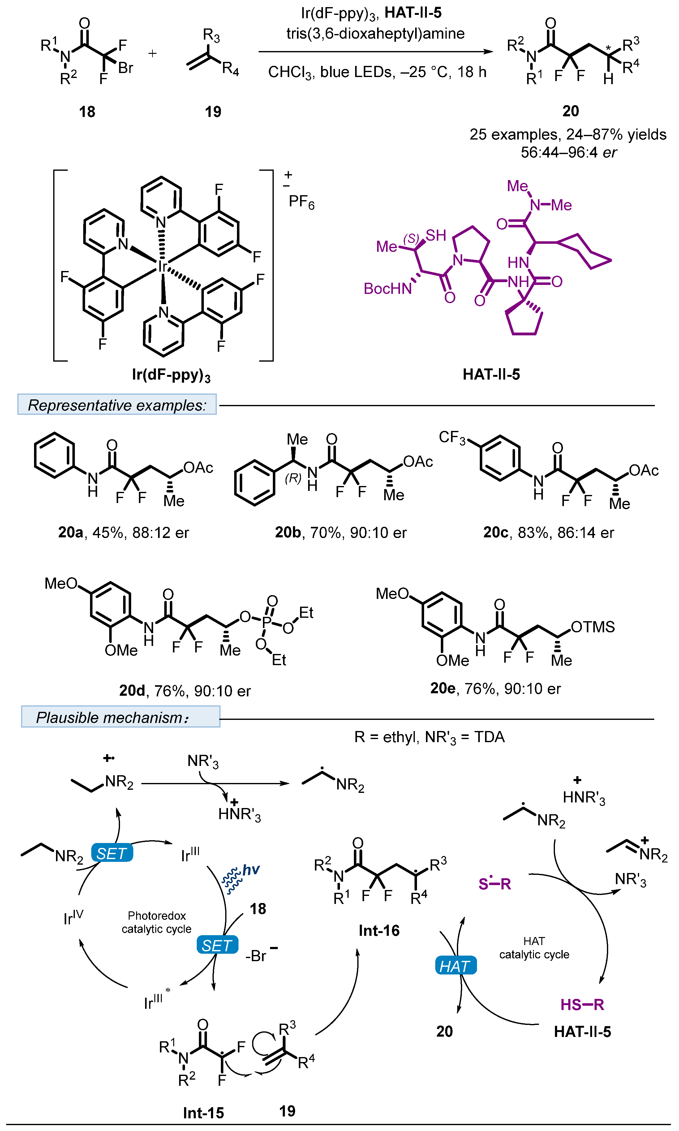 Molecules 30 04058 sch010