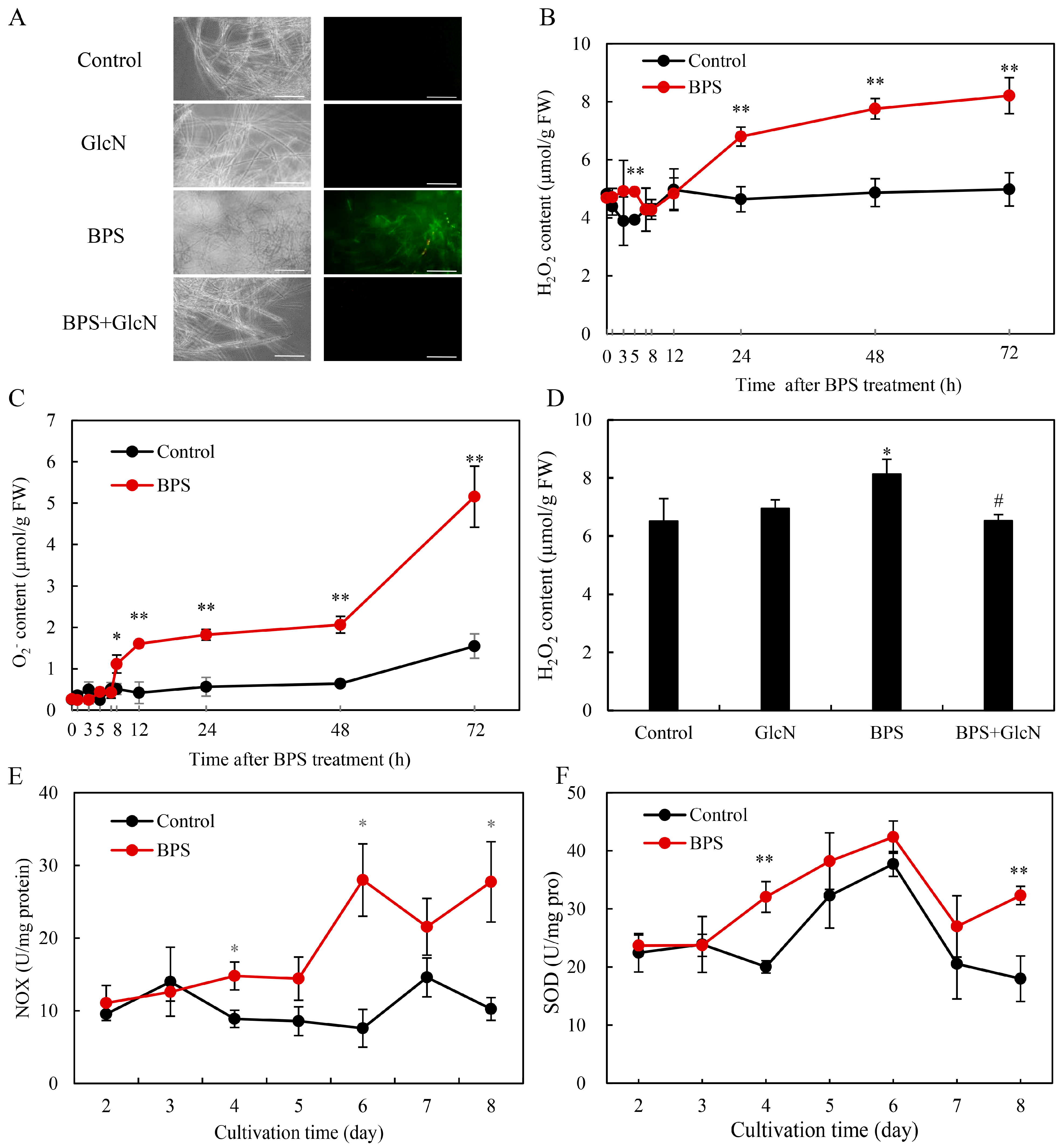 Molecules 30 04060 g005 Molecules 30 04060 g005