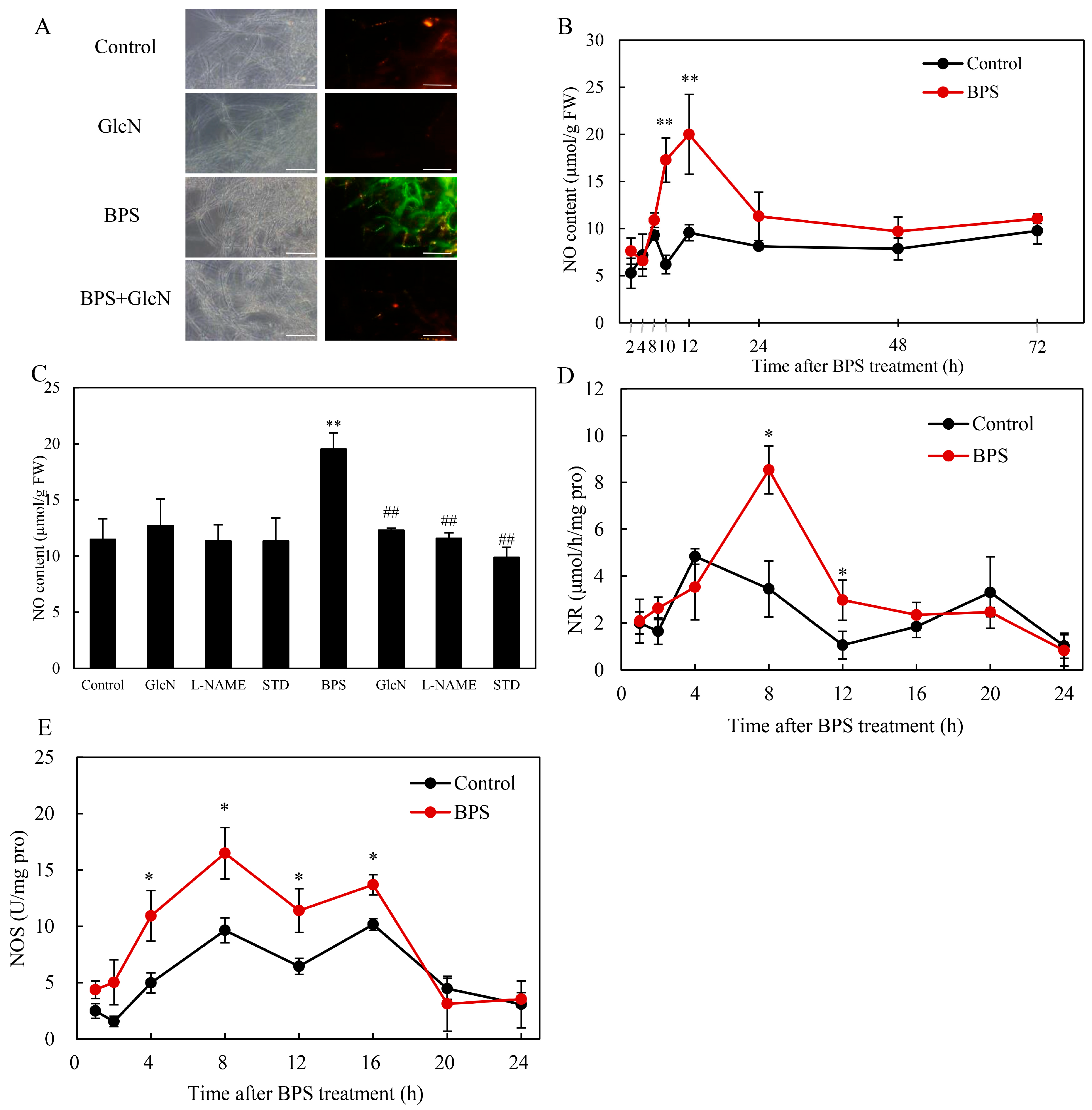 Molecules 30 04060 g006 Molecules 30 04060 g006
