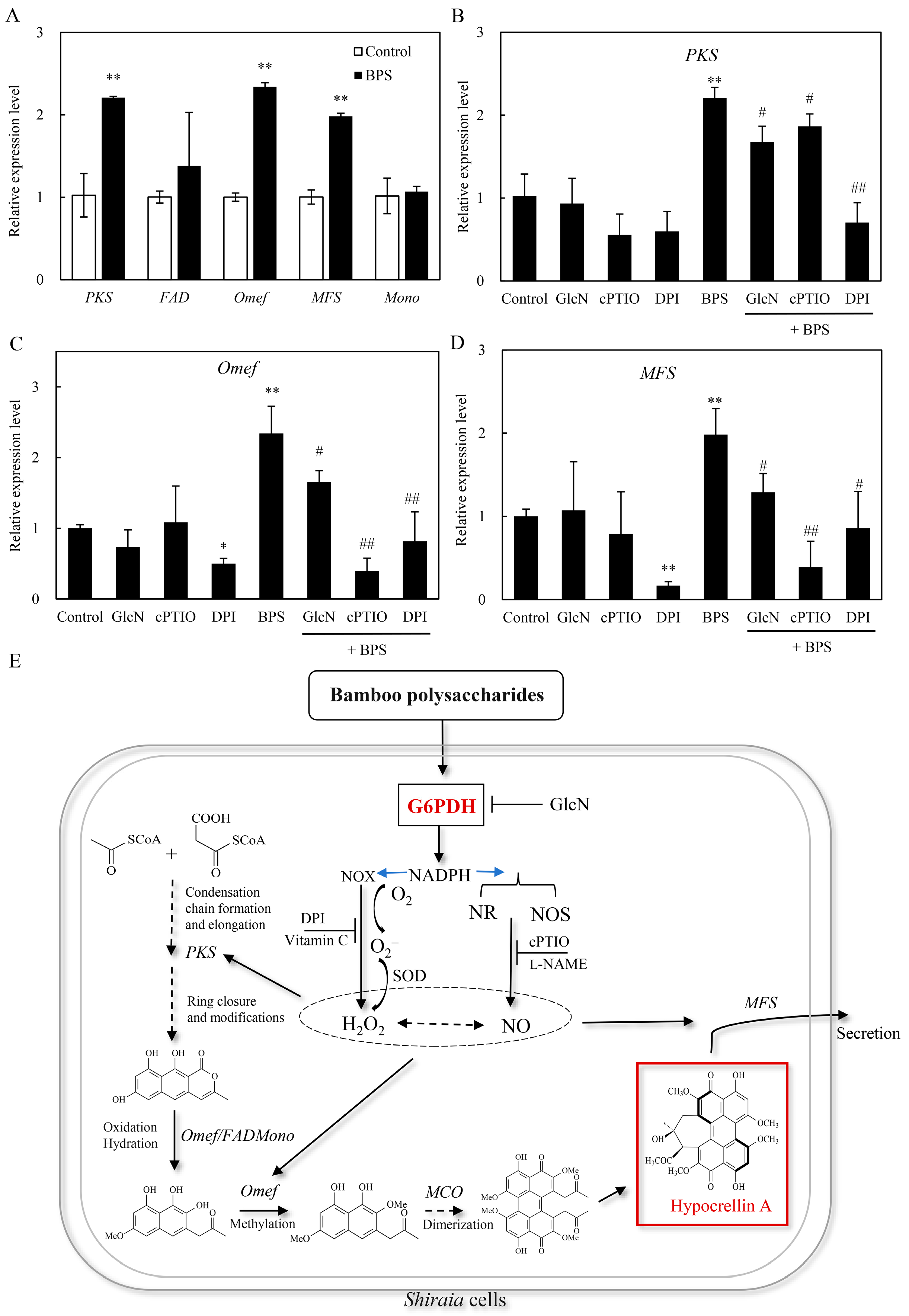 Molecules 30 04060 g007 Molecules 30 04060 g007