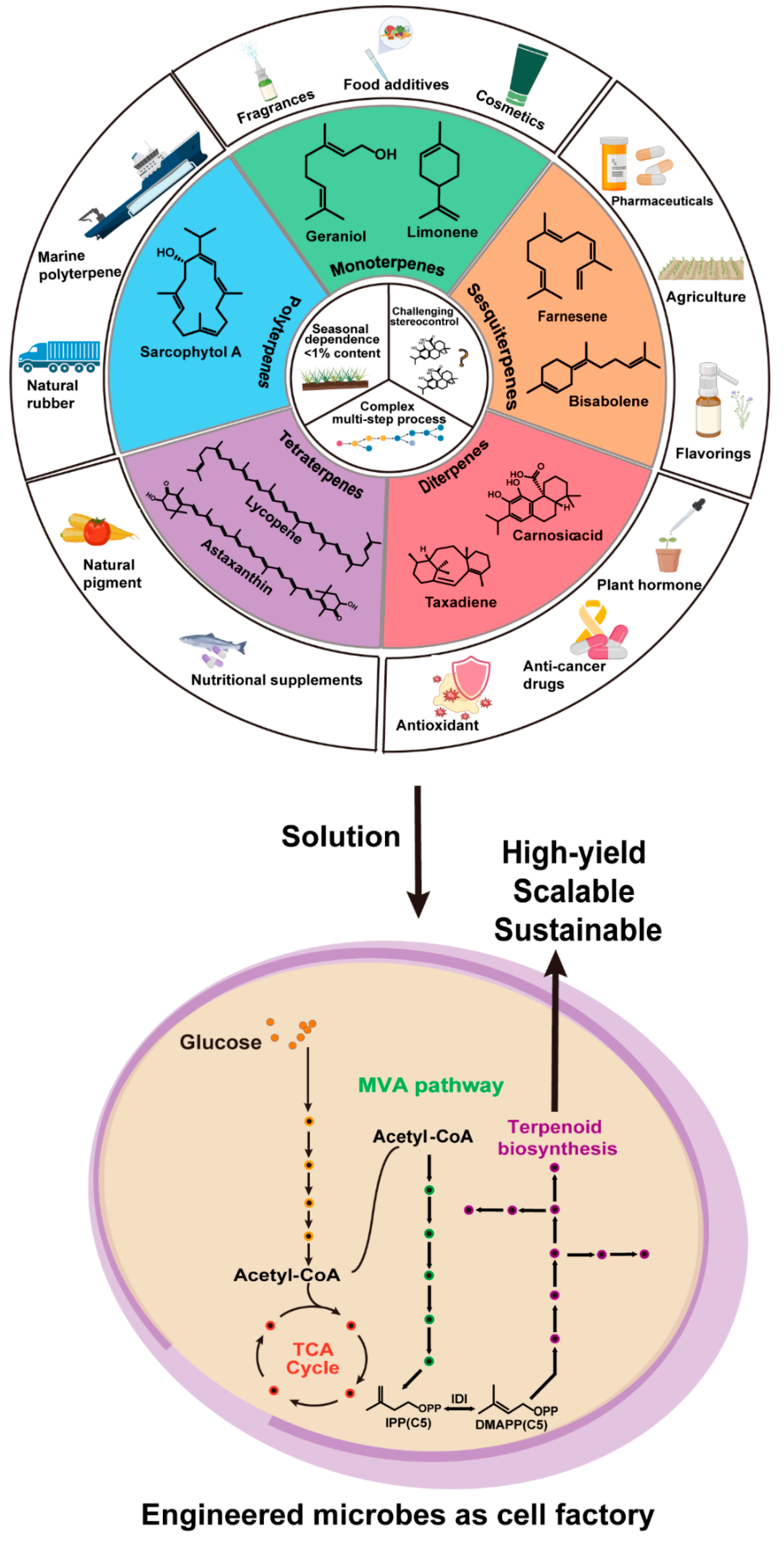 Molecules 30 04065 g001
