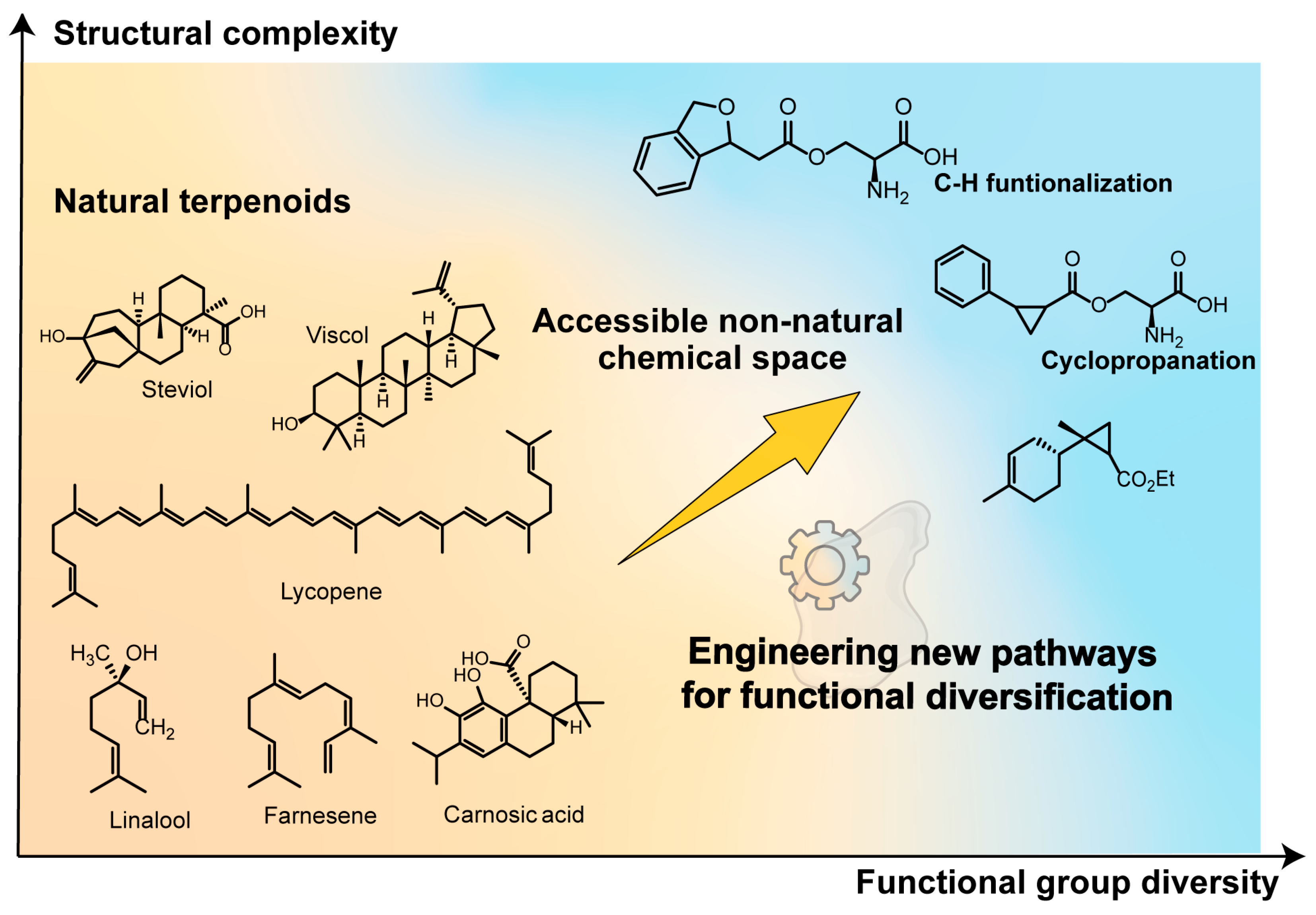 Molecules 30 04065 g002