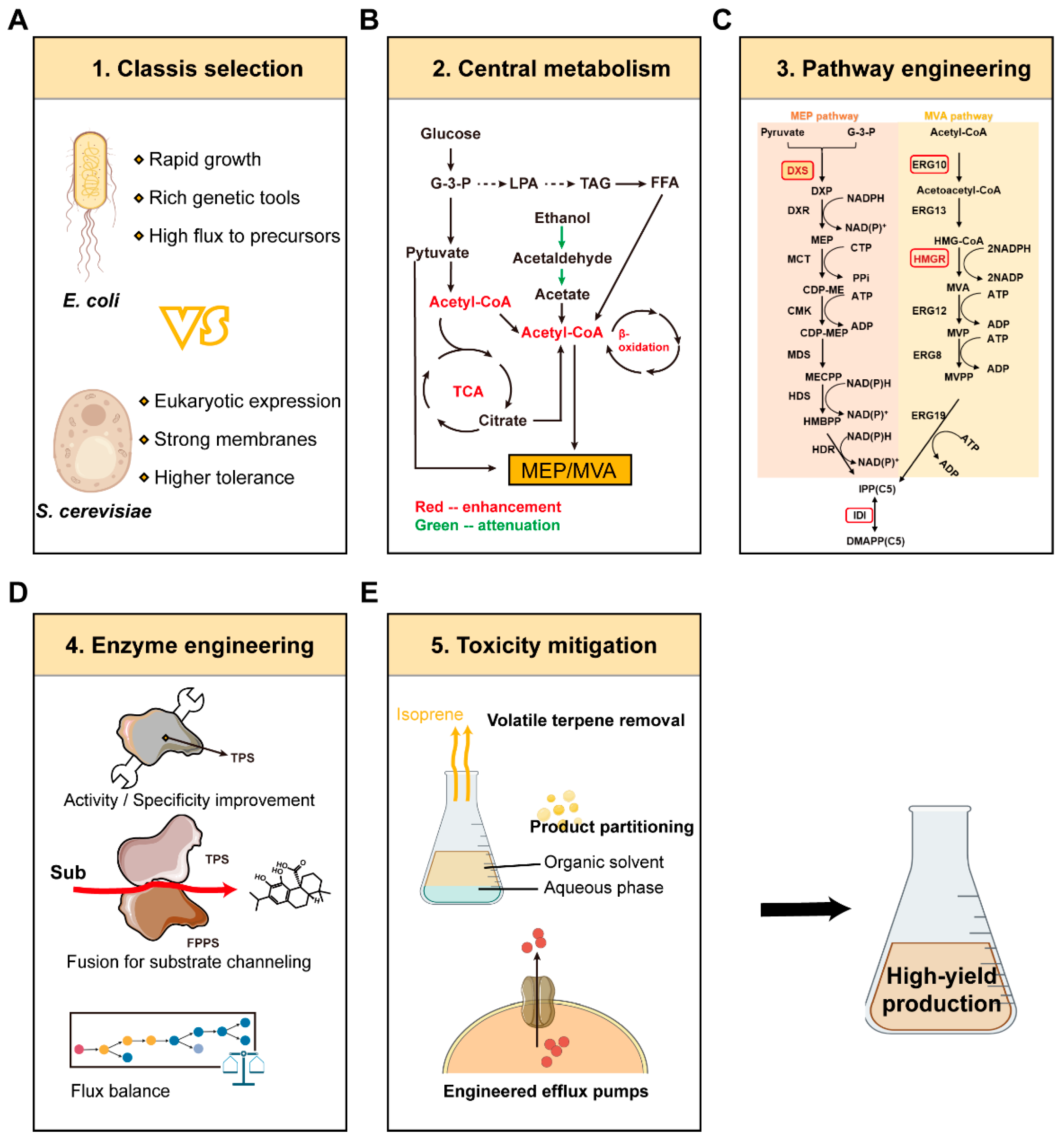 Molecules 30 04065 g005