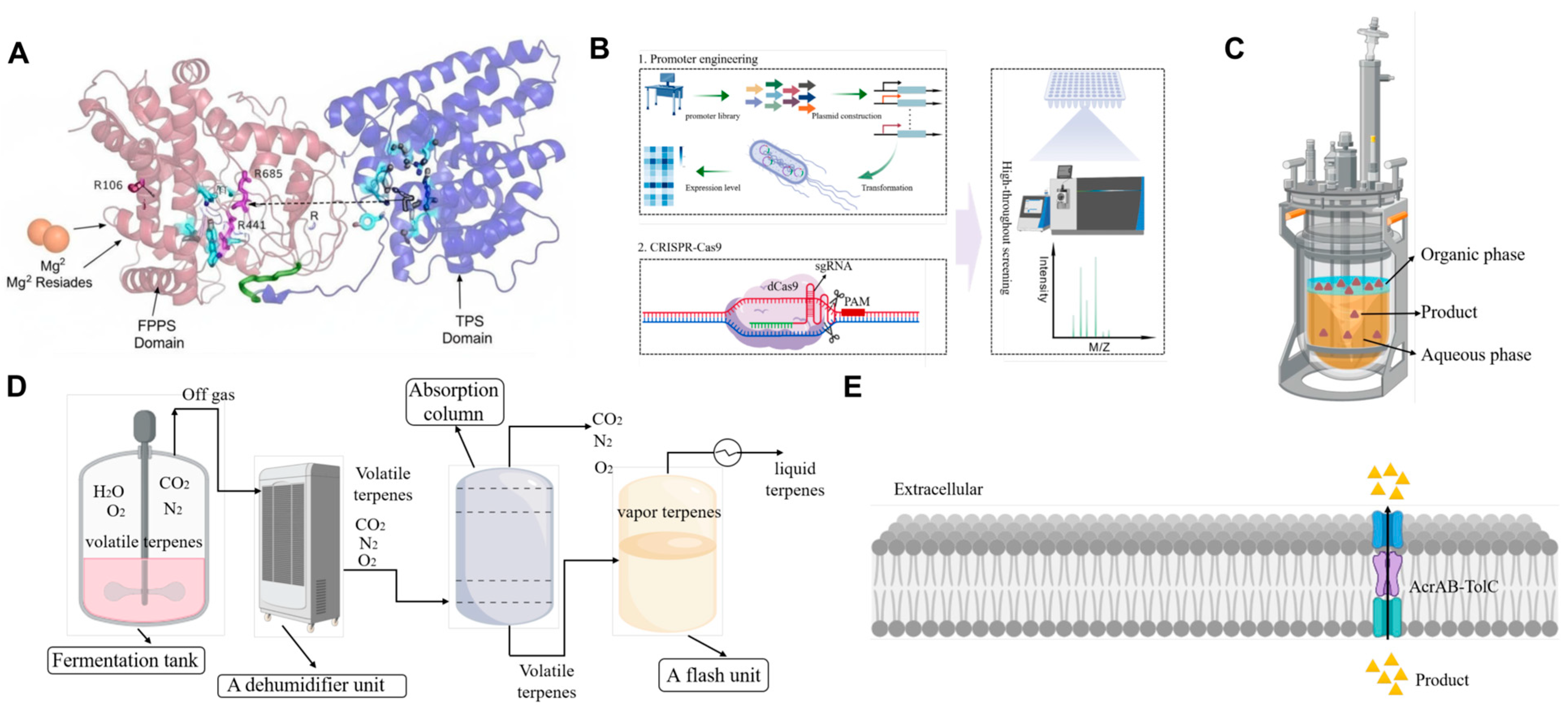 Molecules 30 04065 g006