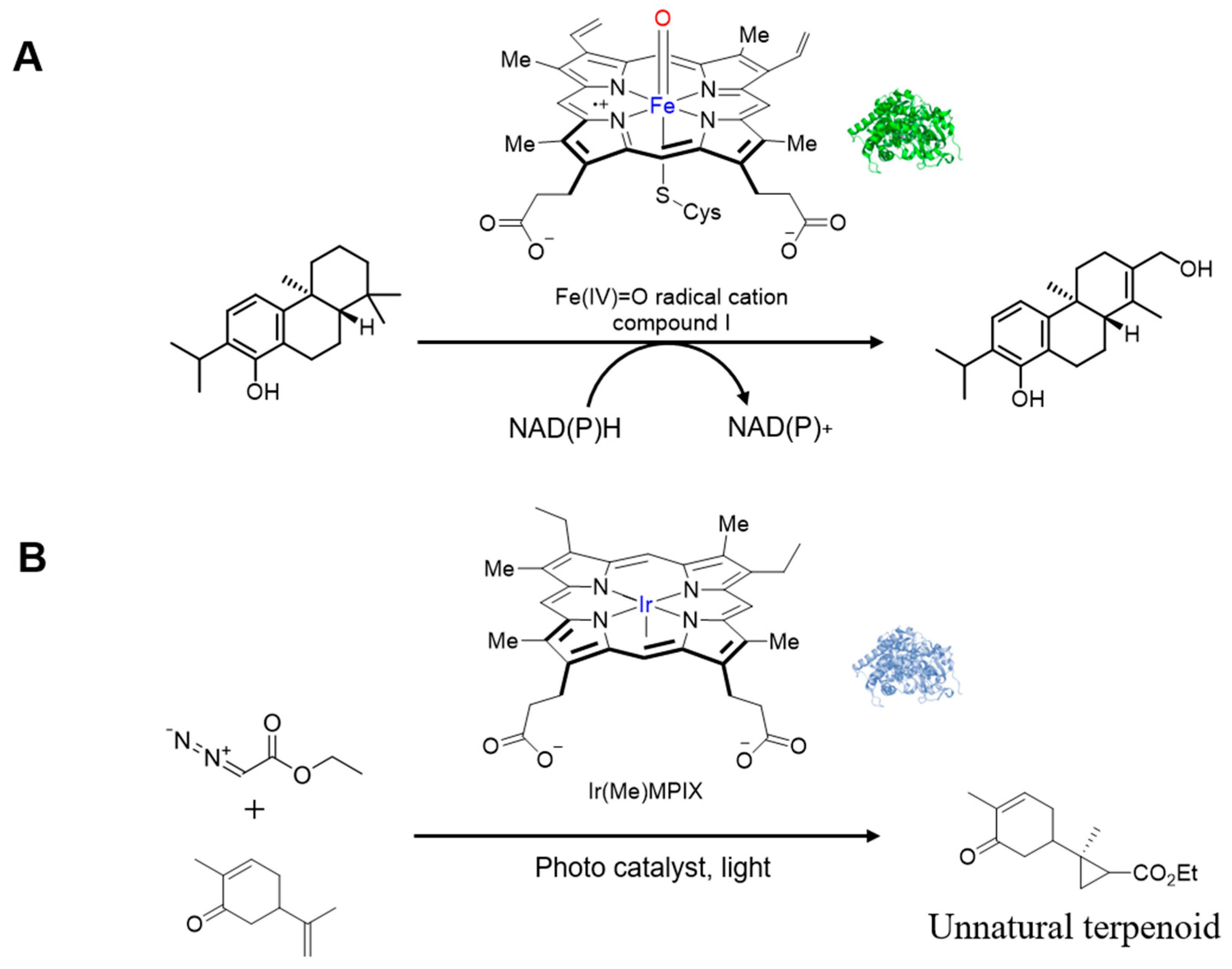 Molecules 30 04065 g007