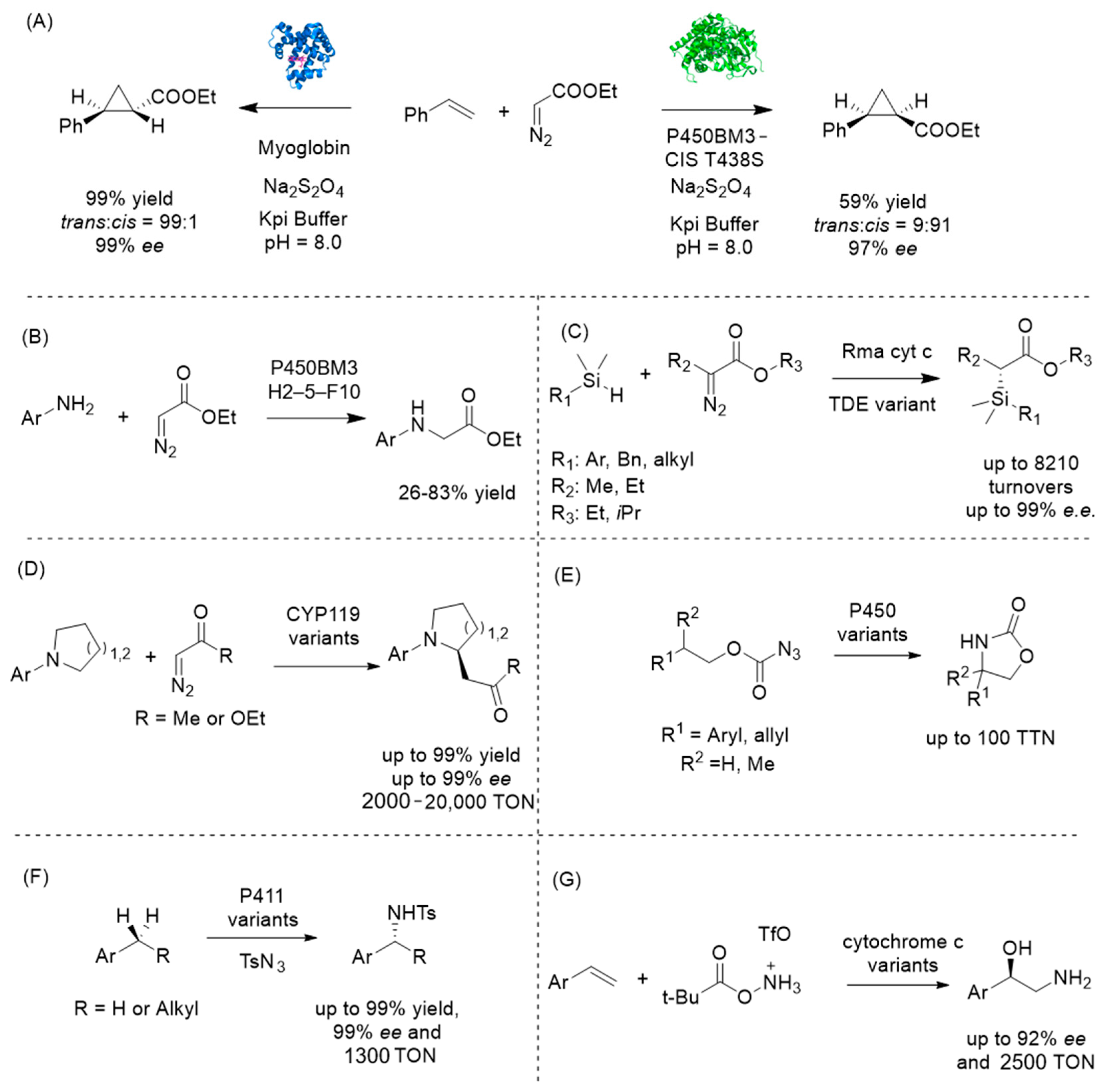 Molecules 30 04065 g008