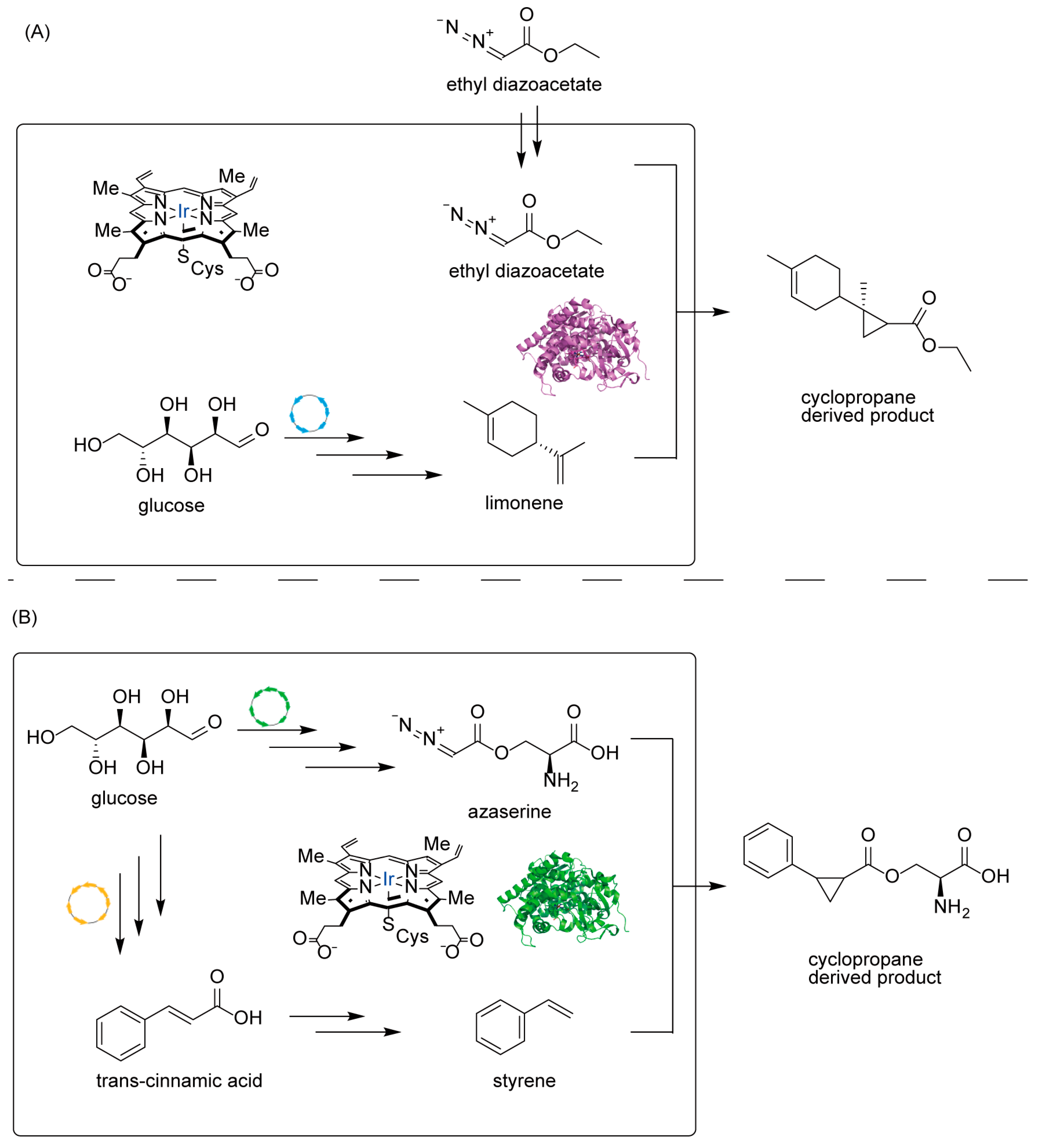 Molecules 30 04065 g009