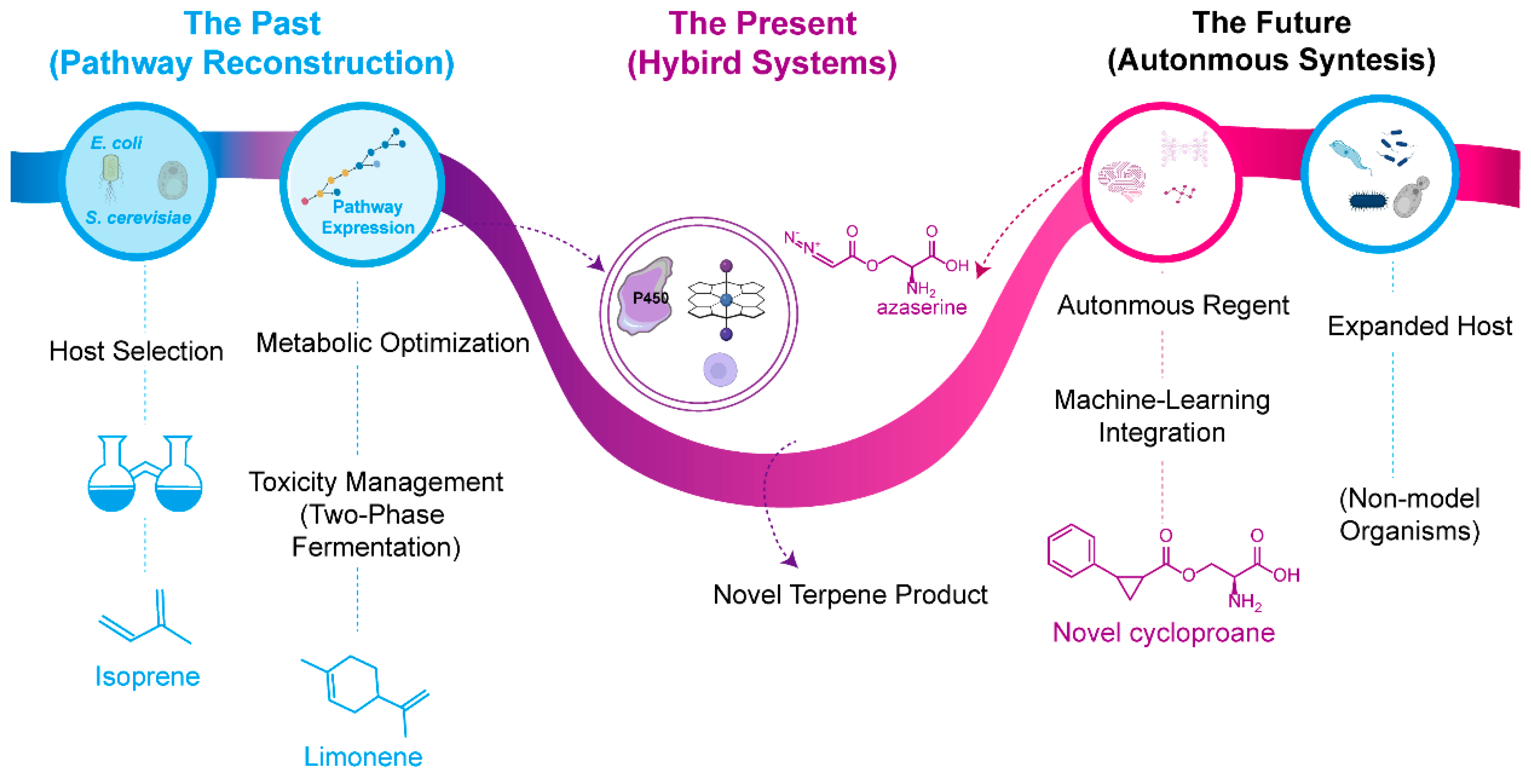 Molecules 30 04065 g010
