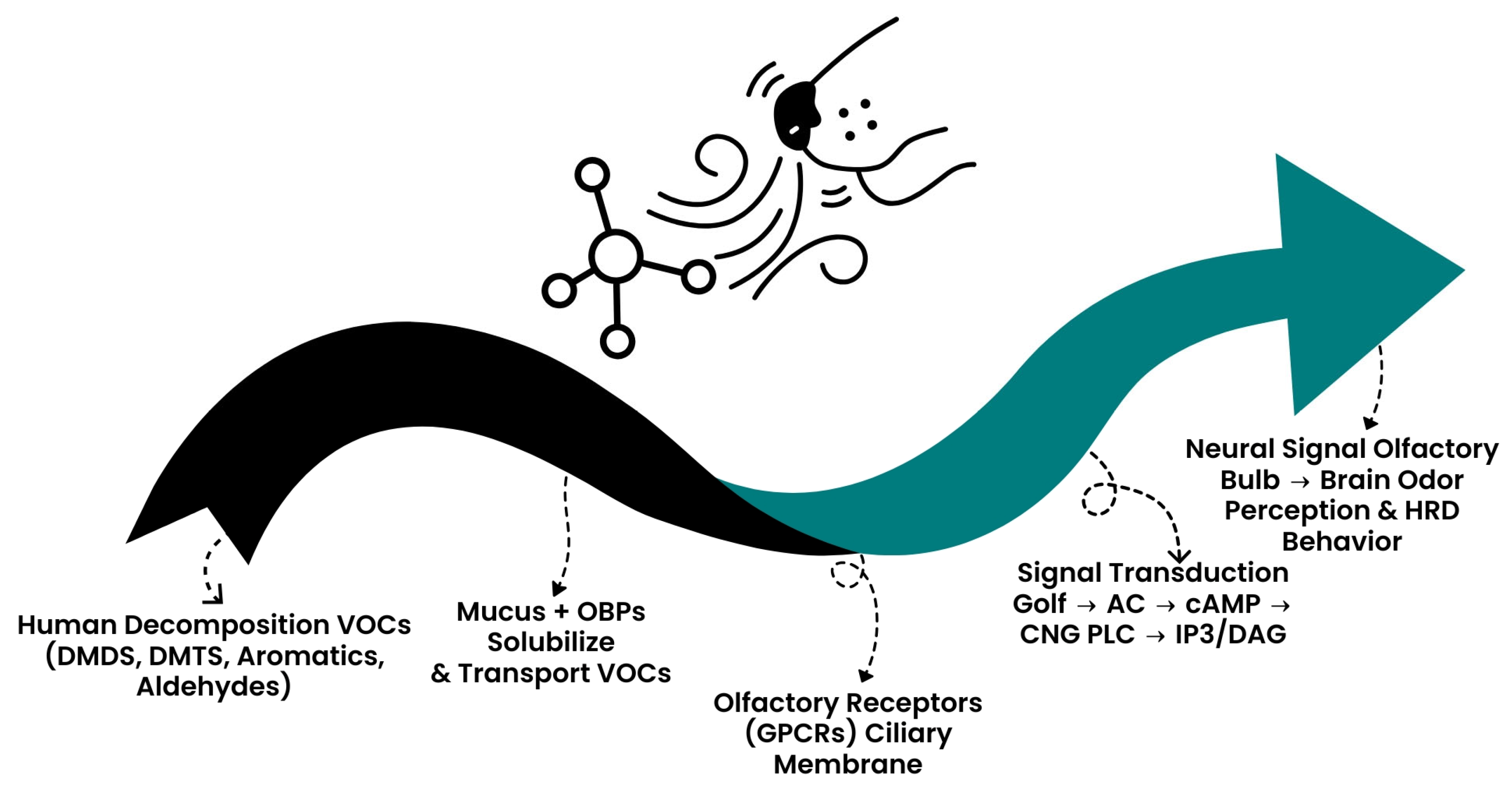 Molecules 30 04066 g003 Molecules 30 04066 g003