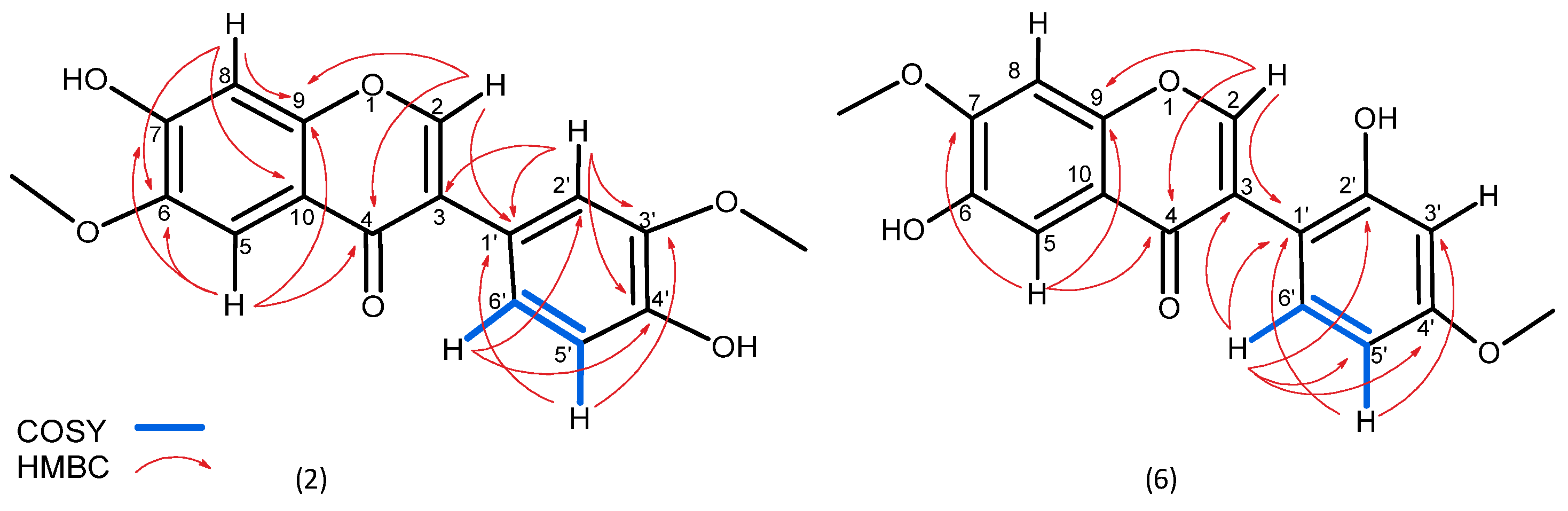 Molecules 30 04069 g002 Molecules 30 04069 g002