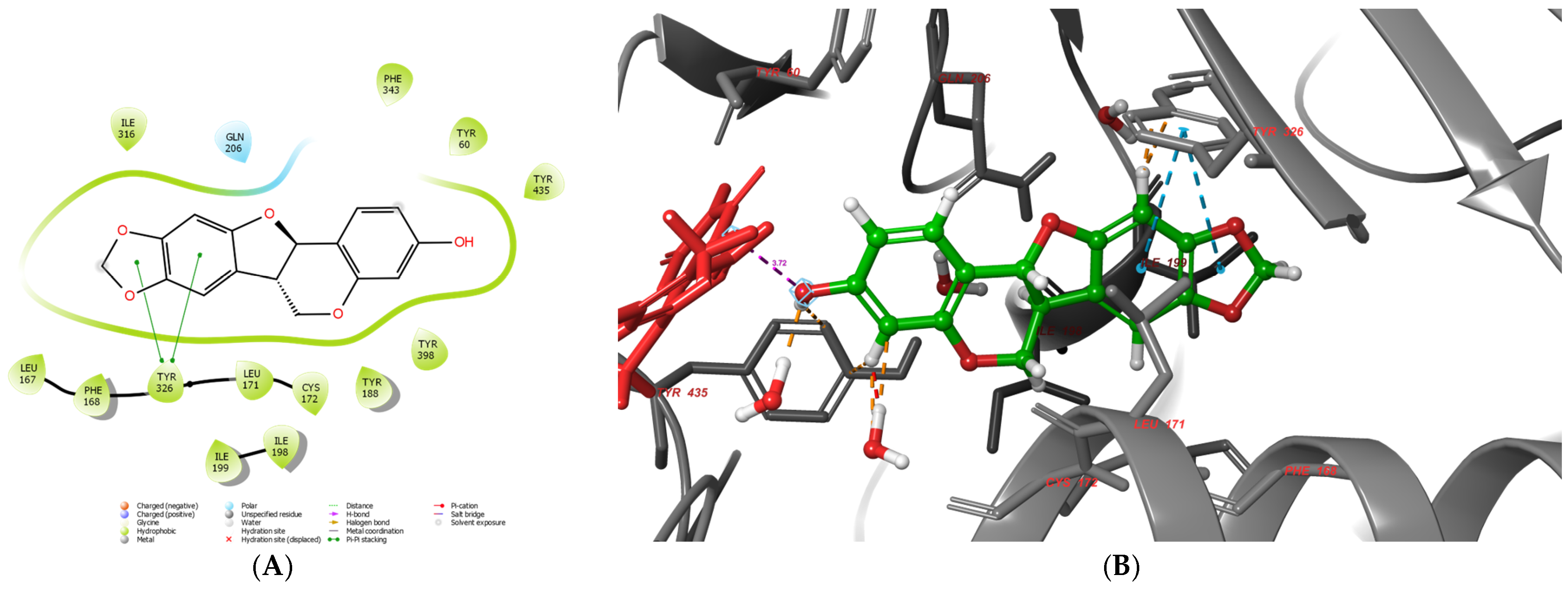 Molecules 30 04069 g013 Molecules 30 04069 g013