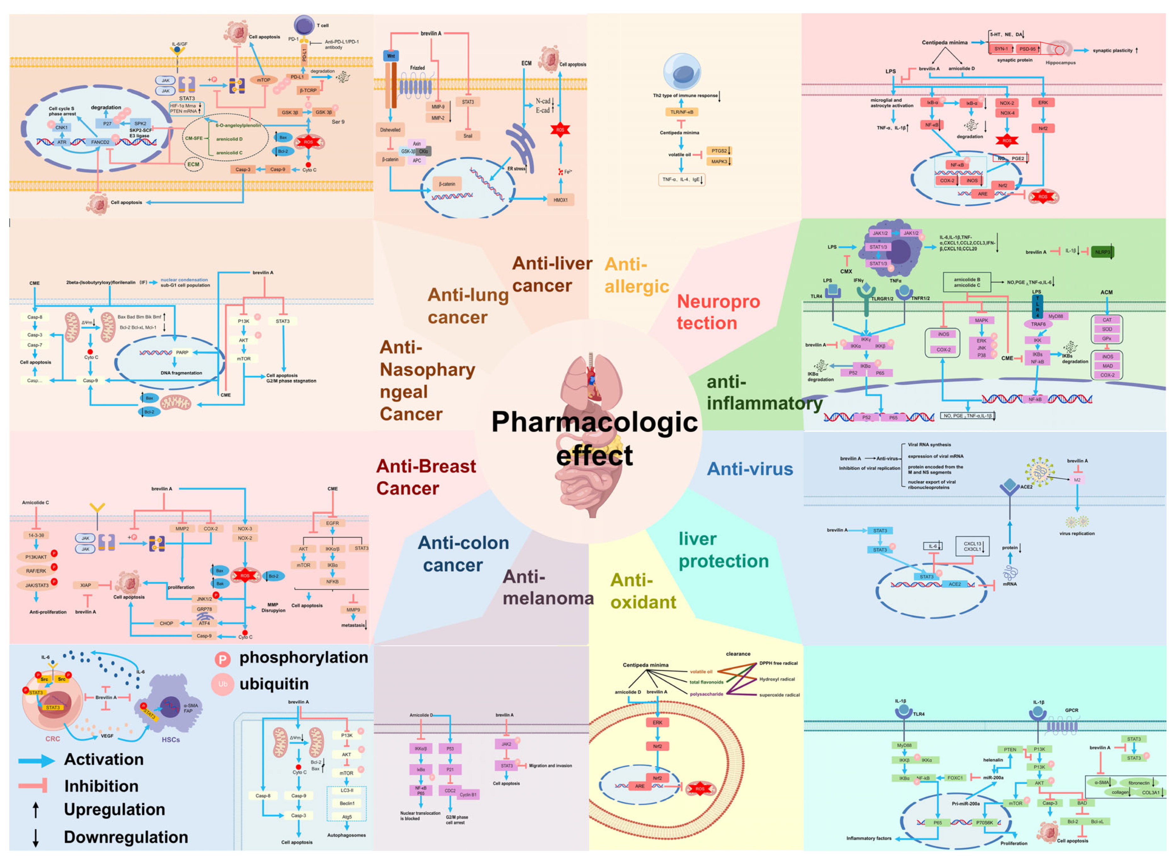 Molecules 30 04072 g007