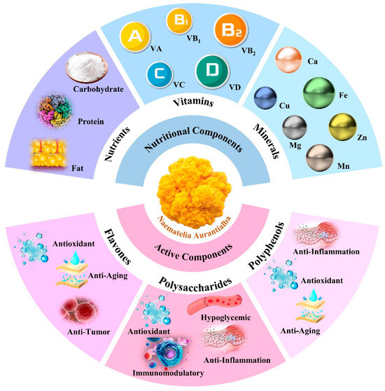 Purification, Structural Characteristics, Bioactive Properties