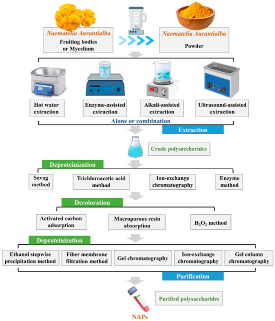 Purification, Structural Characteristics, Bioactive Properties