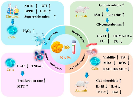 Purification, Structural Characteristics, Bioactive