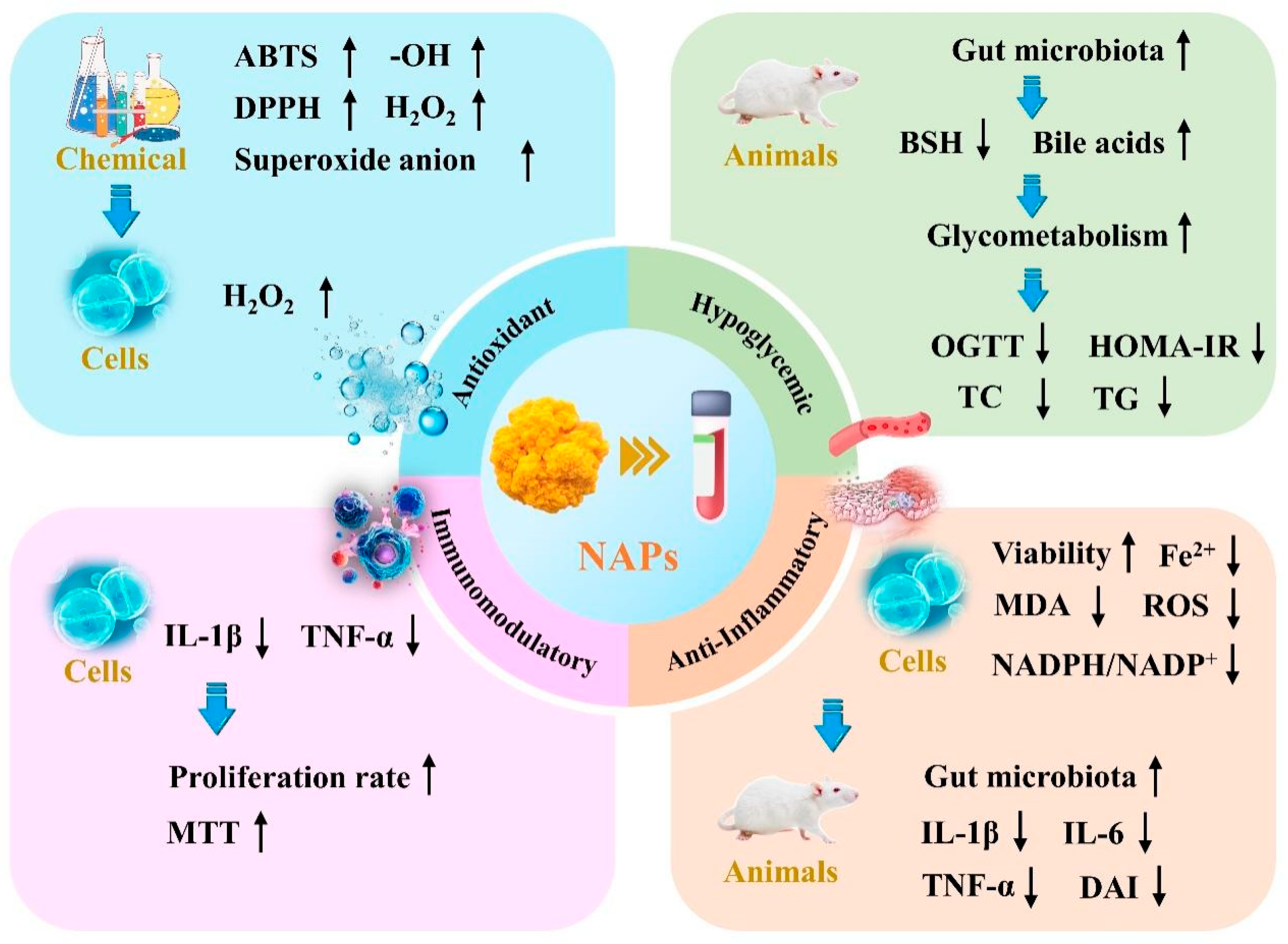 Molecules 30 04073 g003 Molecules 30 04073 g003