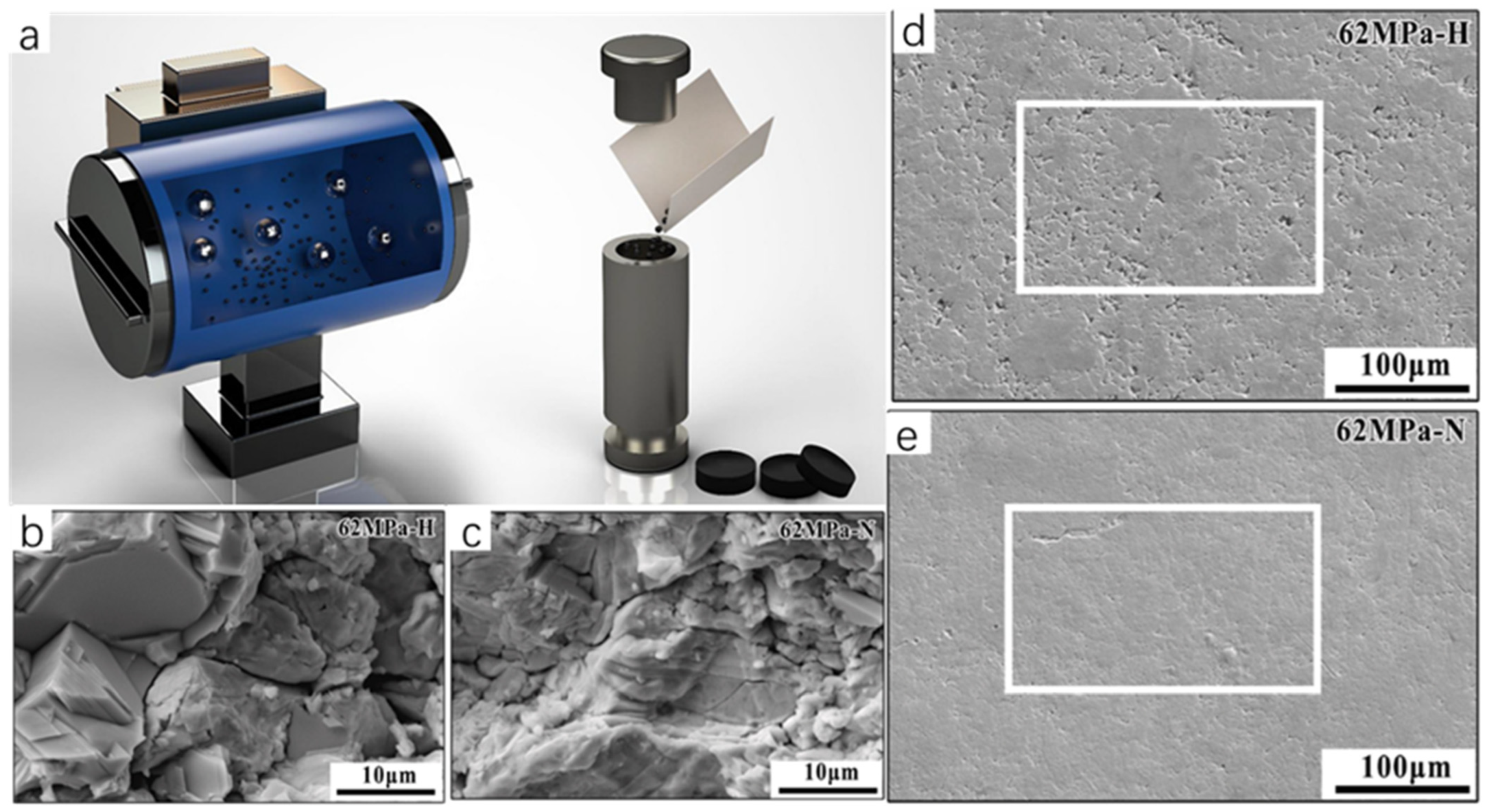 Molecules 30 04074 g007