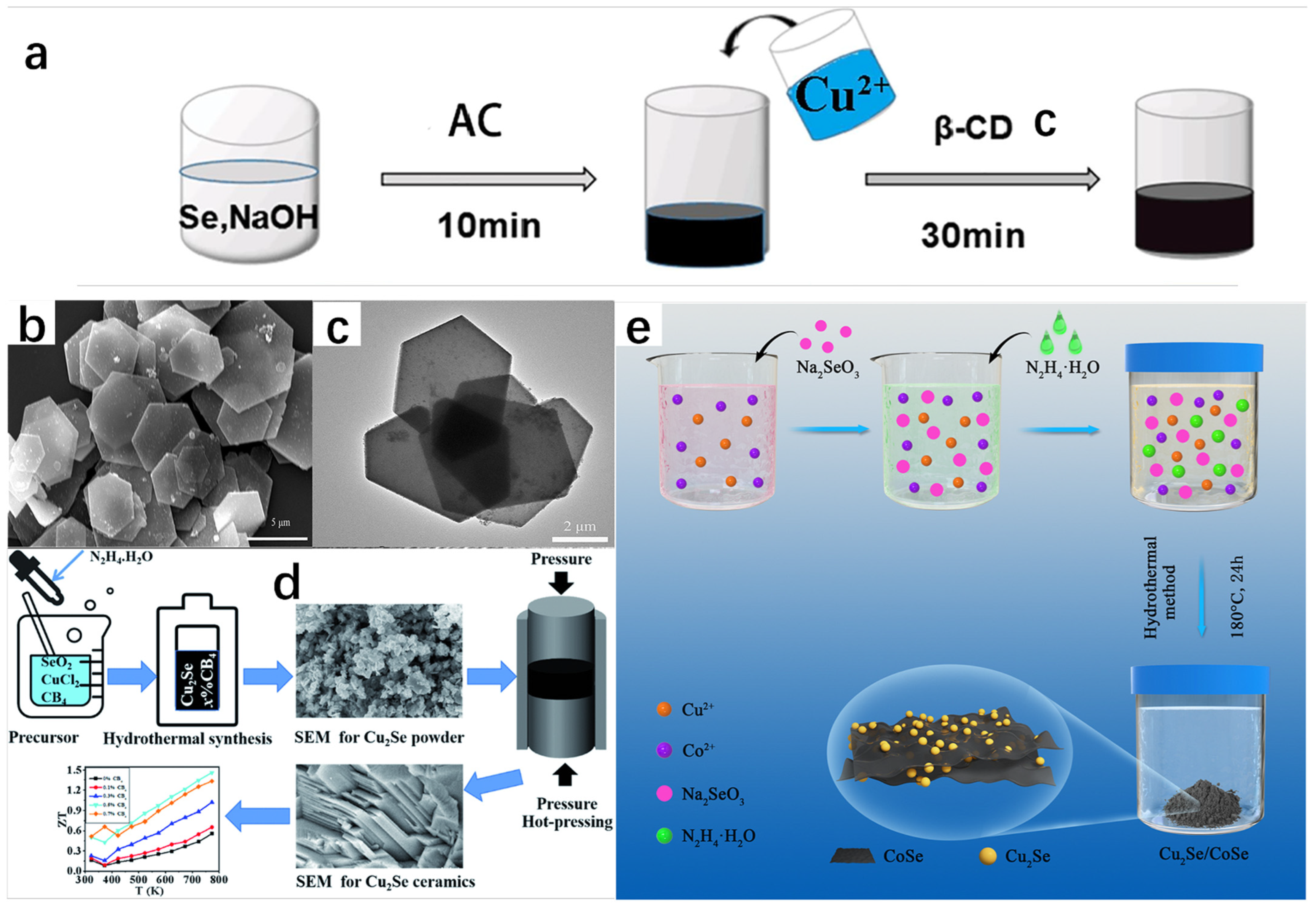 Molecules 30 04074 g008