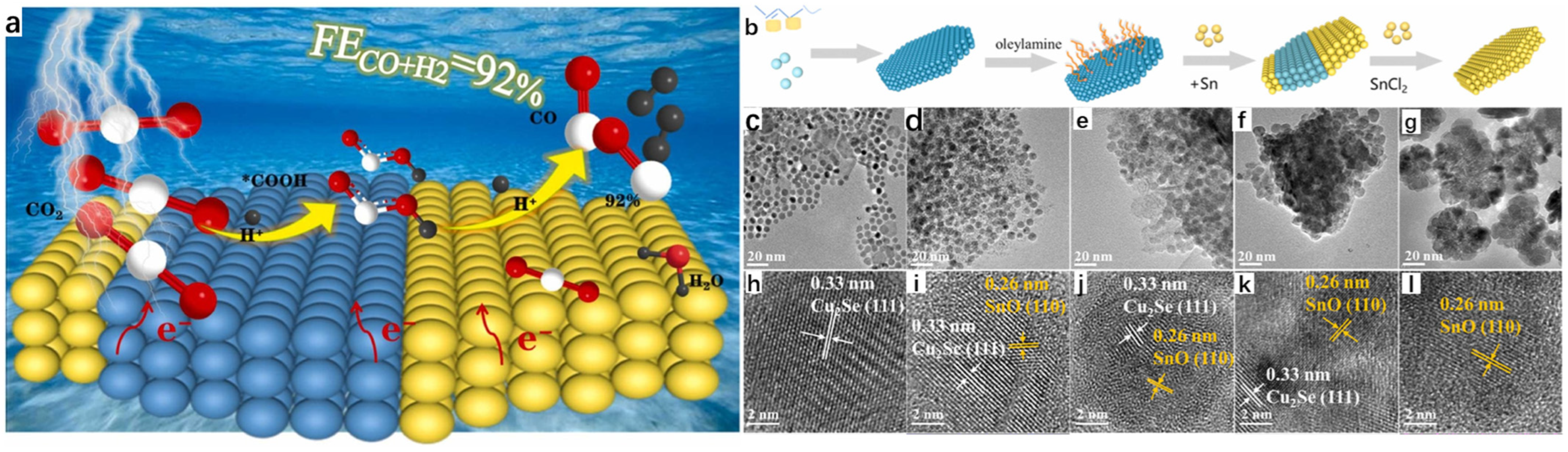 Molecules 30 04074 g011