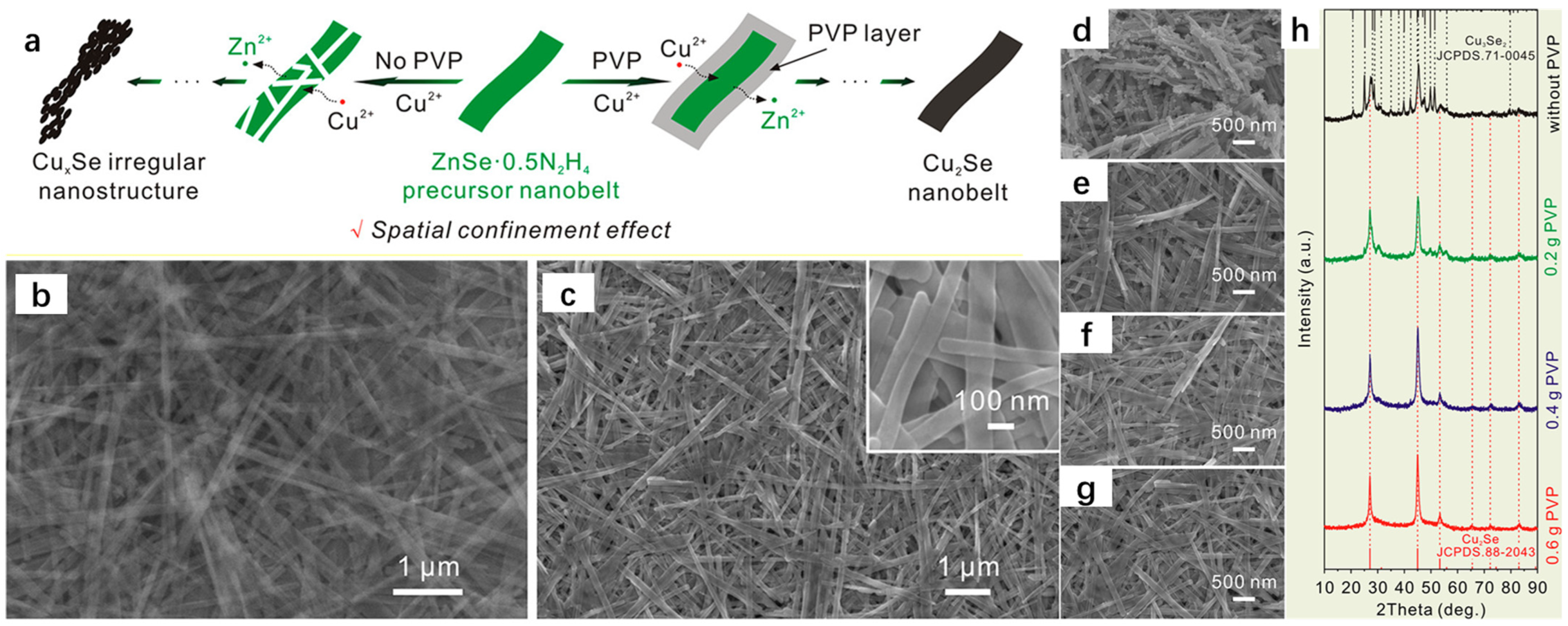 Molecules 30 04074 g012
