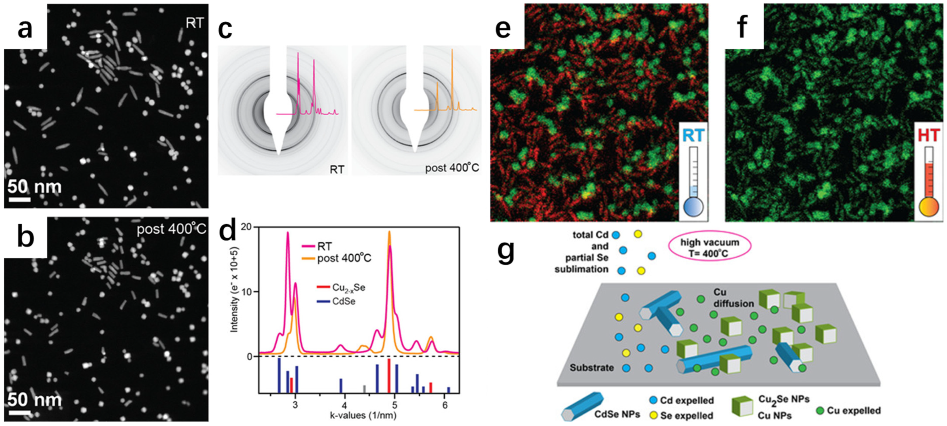 Molecules 30 04074 g013