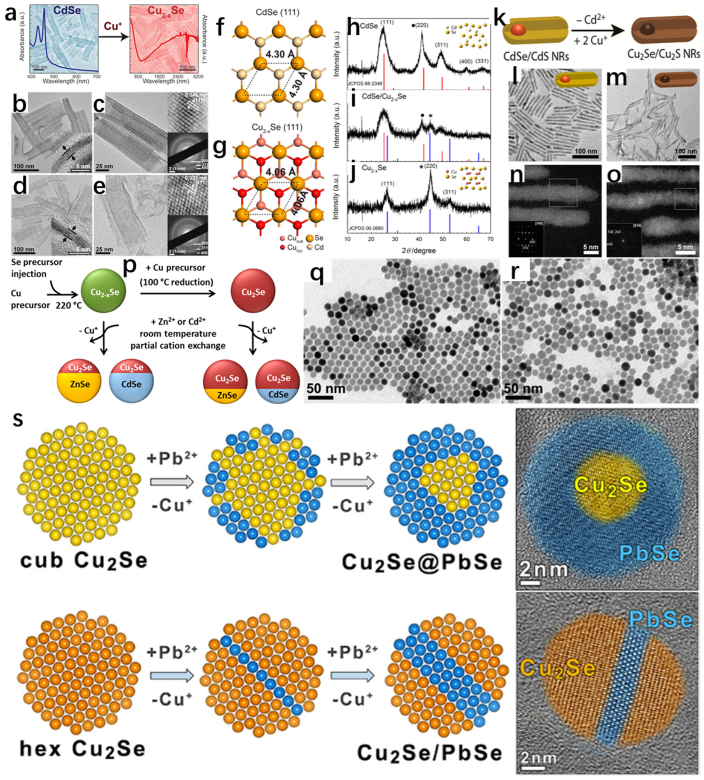 Molecules 30 04074 g014