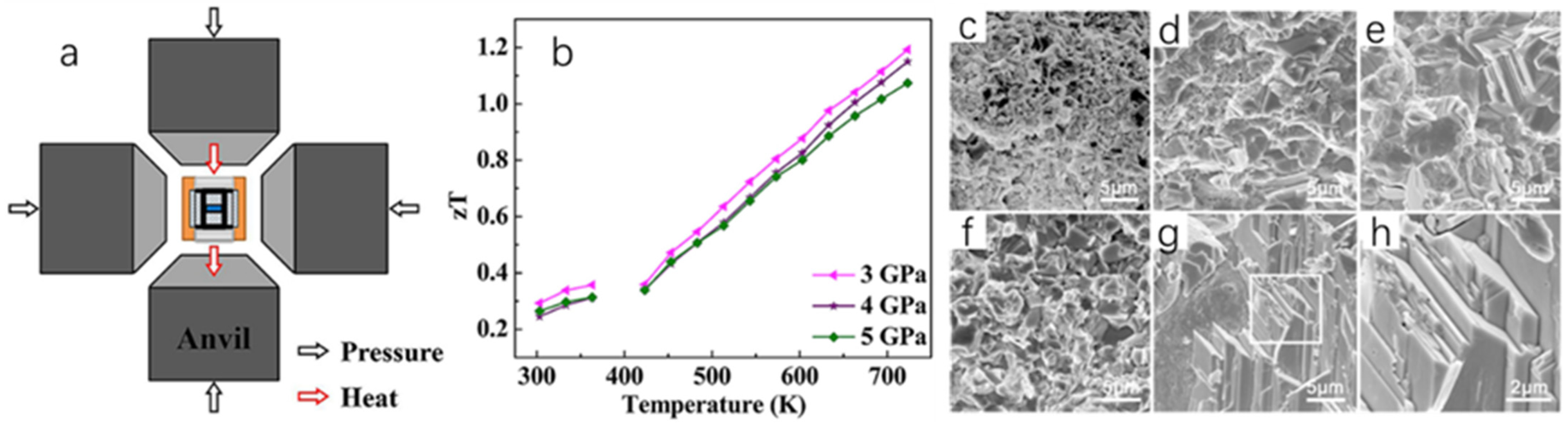 Molecules 30 04074 g016