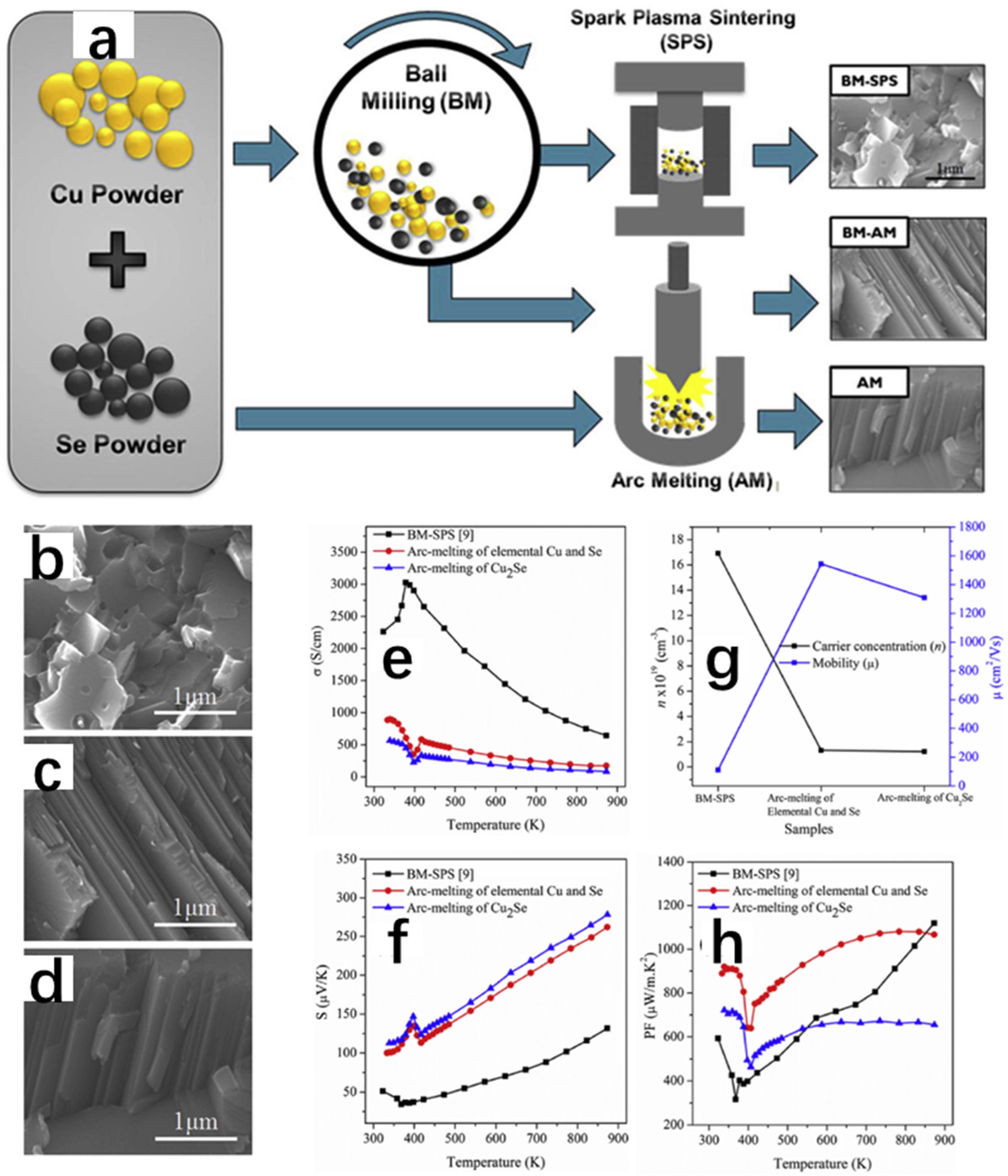 Molecules 30 04074 g019