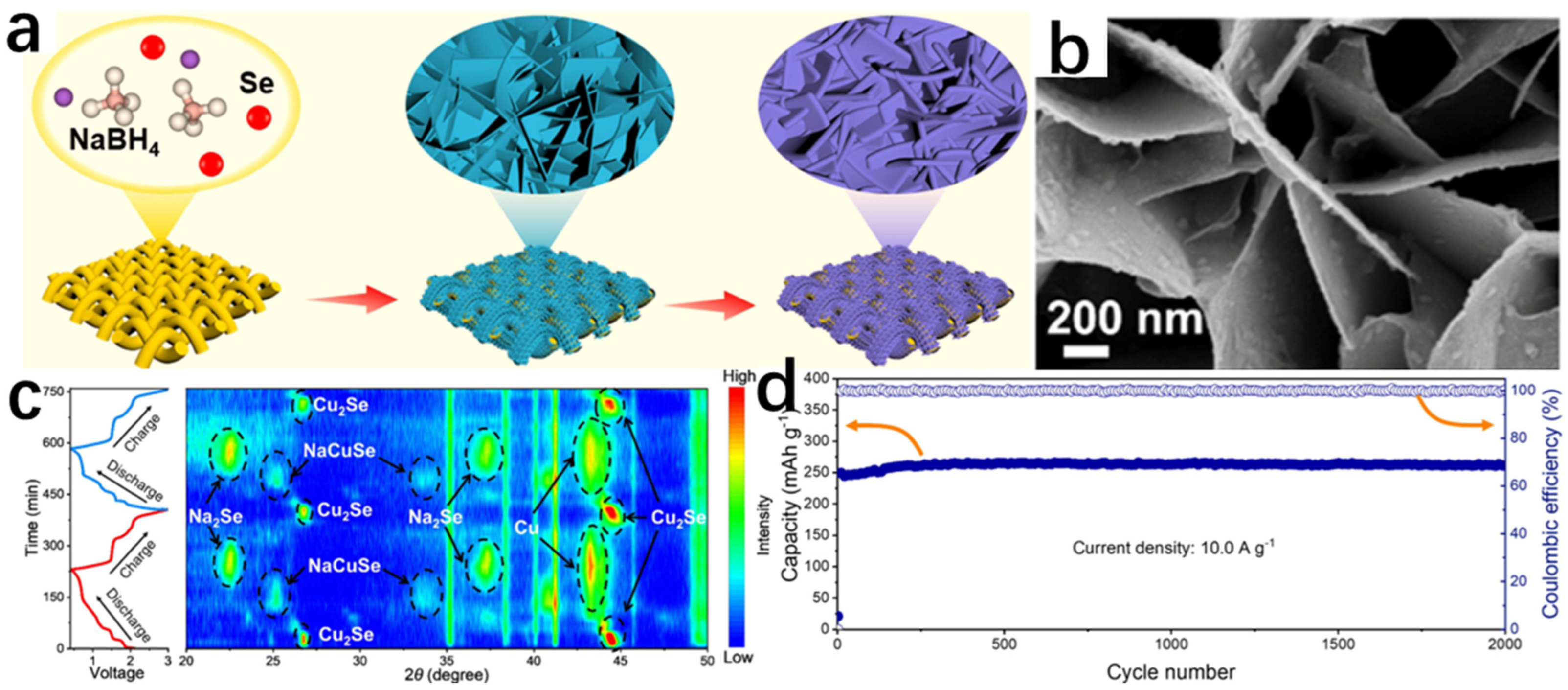 Molecules 30 04074 g026