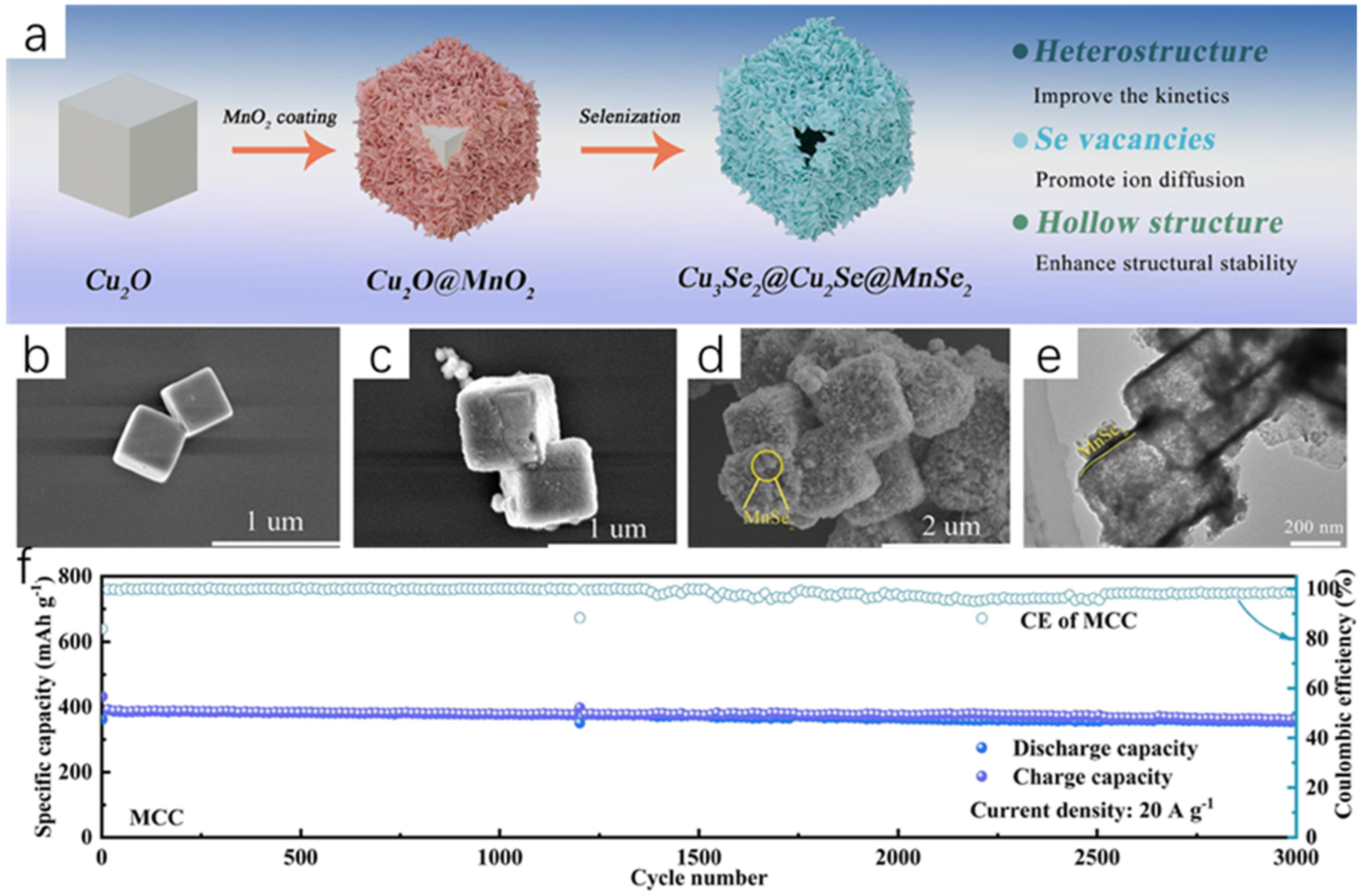 Molecules 30 04074 g028
