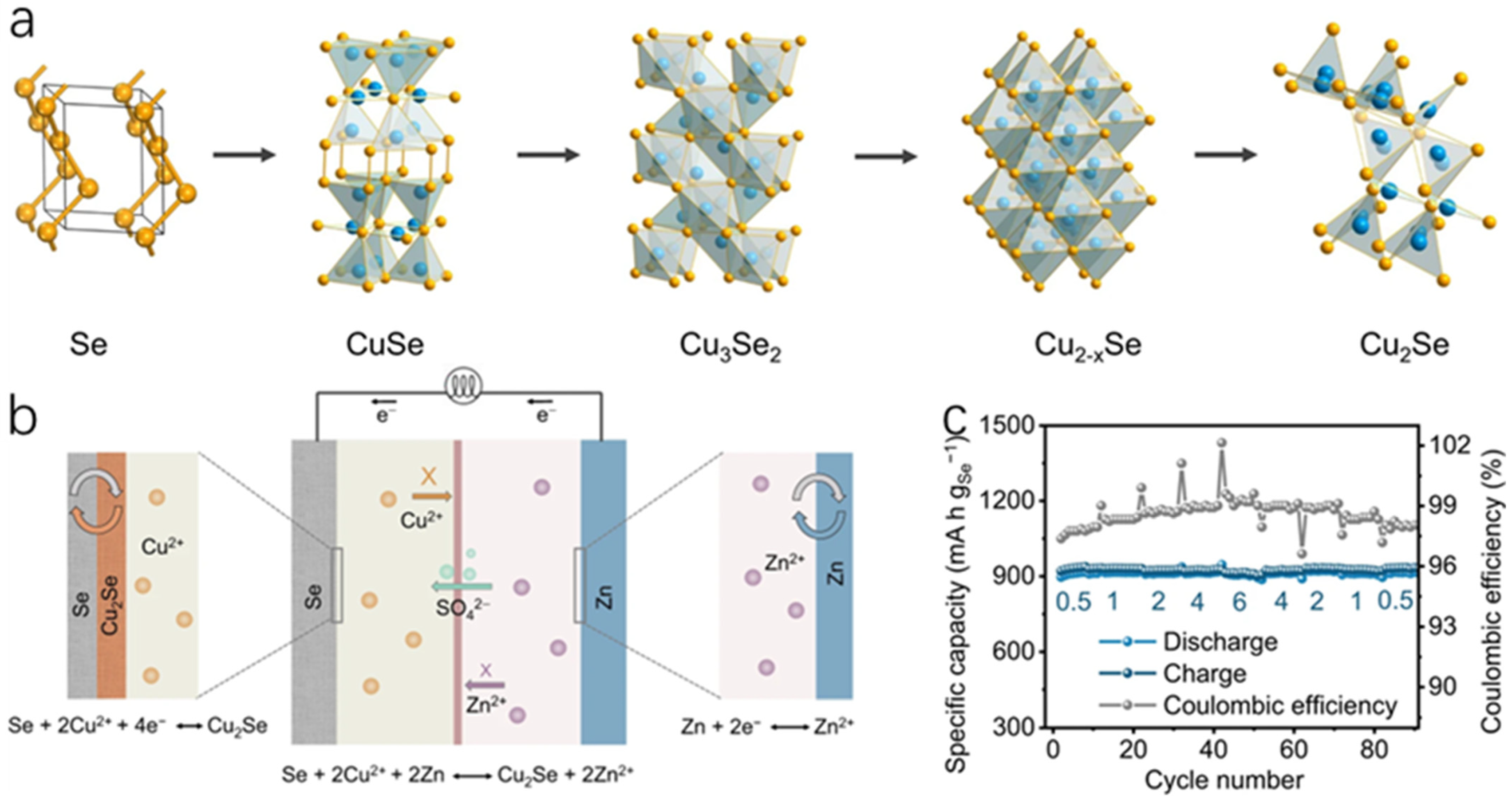 Molecules 30 04074 g031