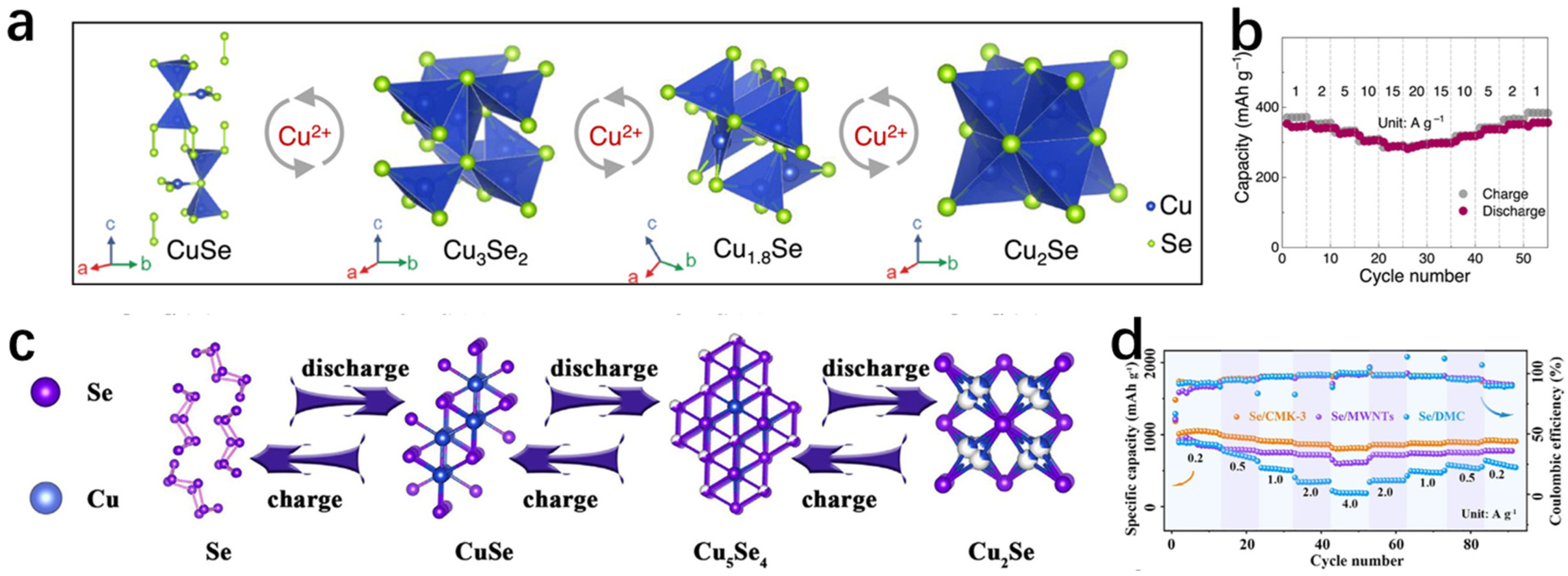 Molecules 30 04074 g032