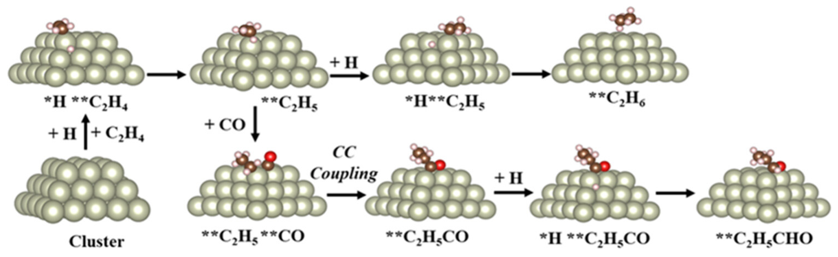 Molecules 30 04078 g005