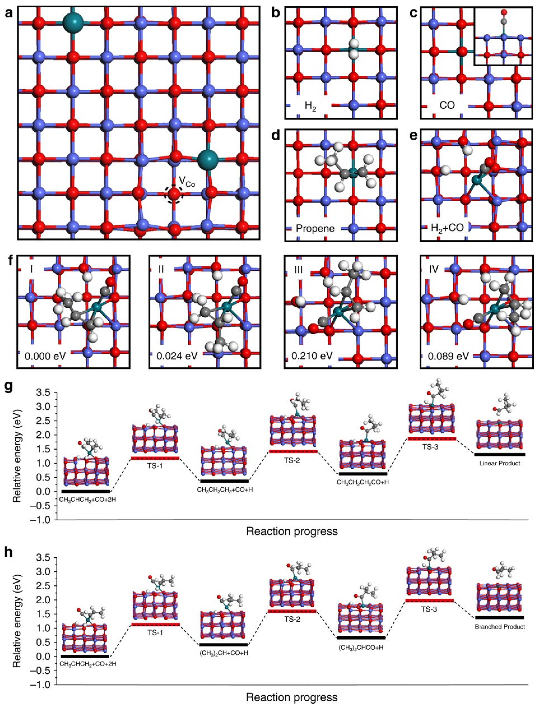Molecules 30 04078 g008
