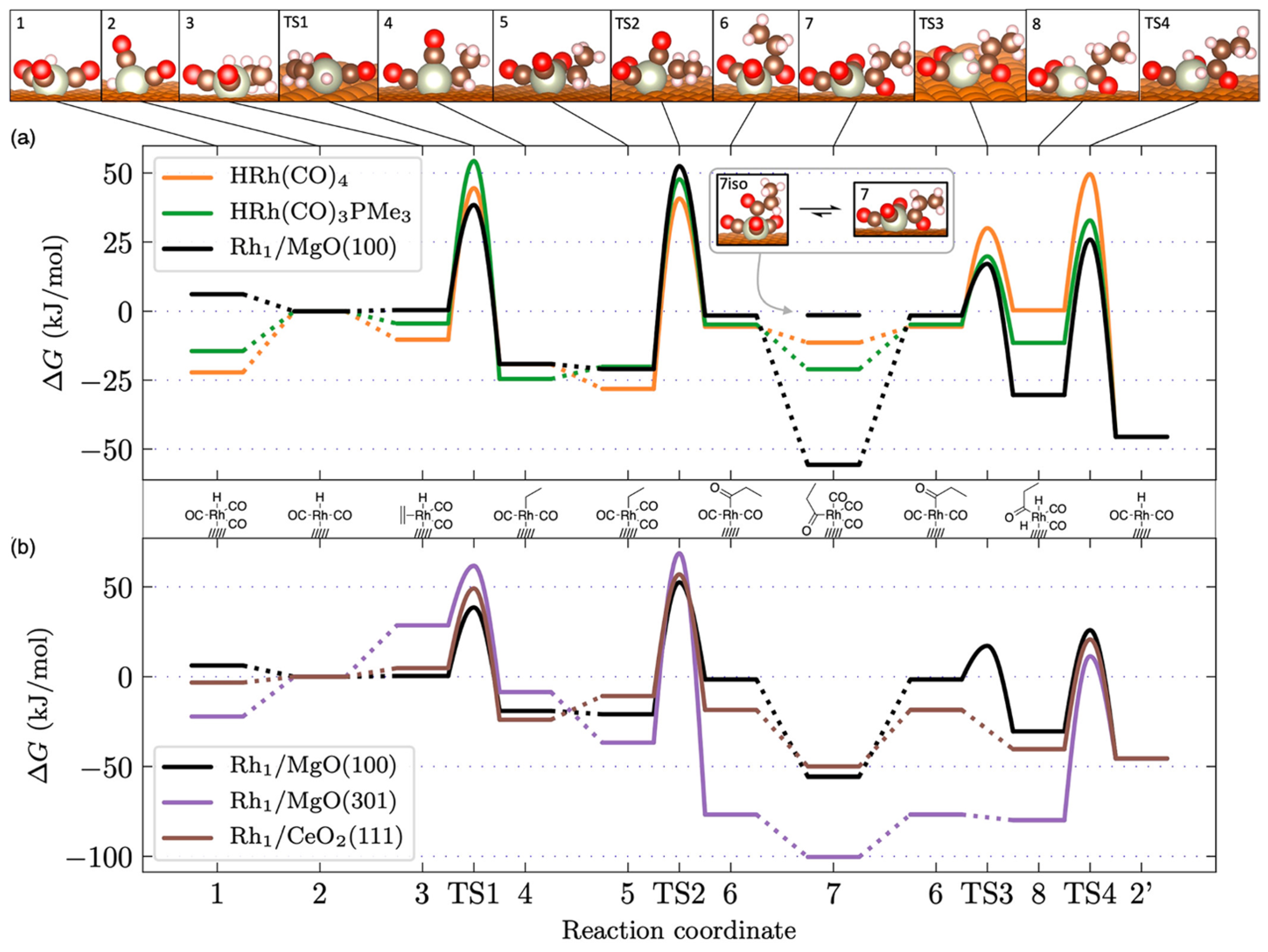 Molecules 30 04078 g012