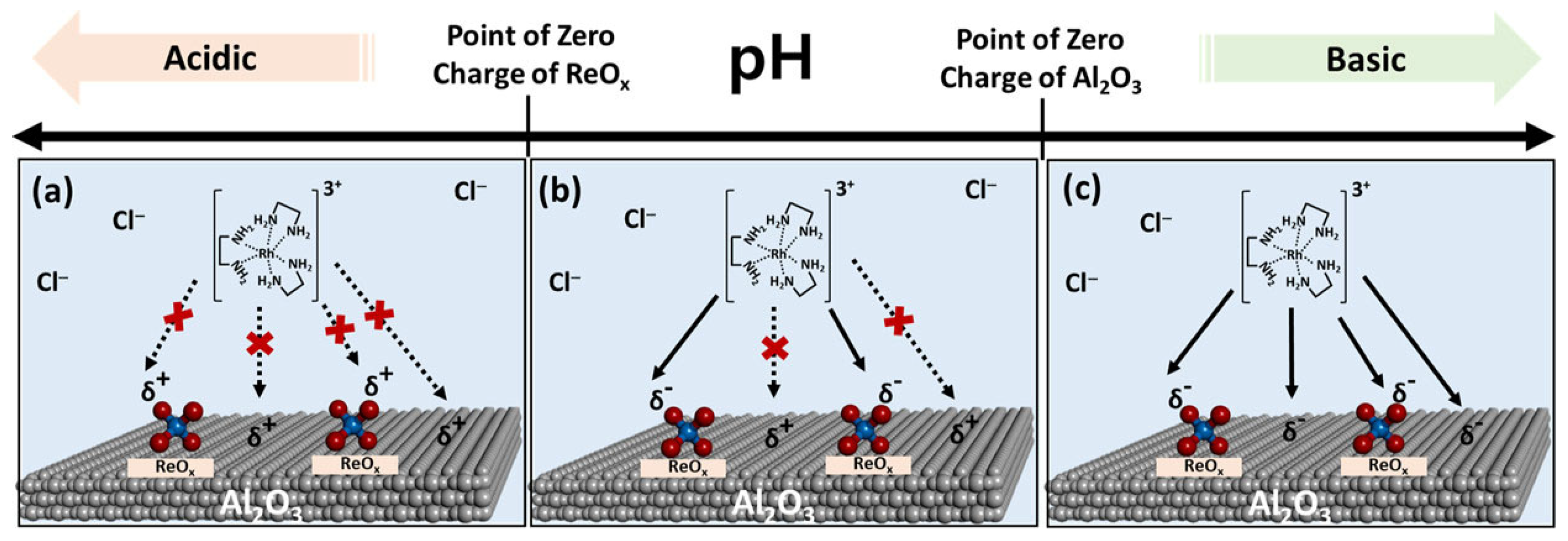 Molecules 30 04078 g014