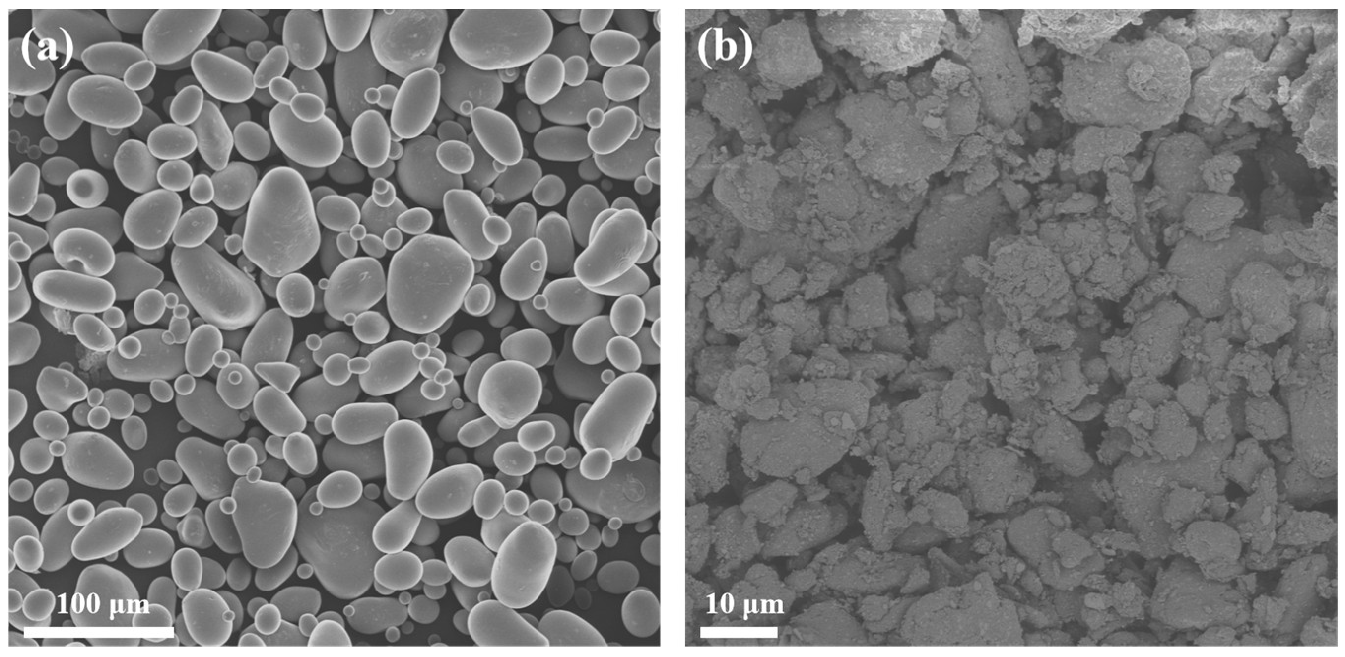 Molecules 30 04088 g004