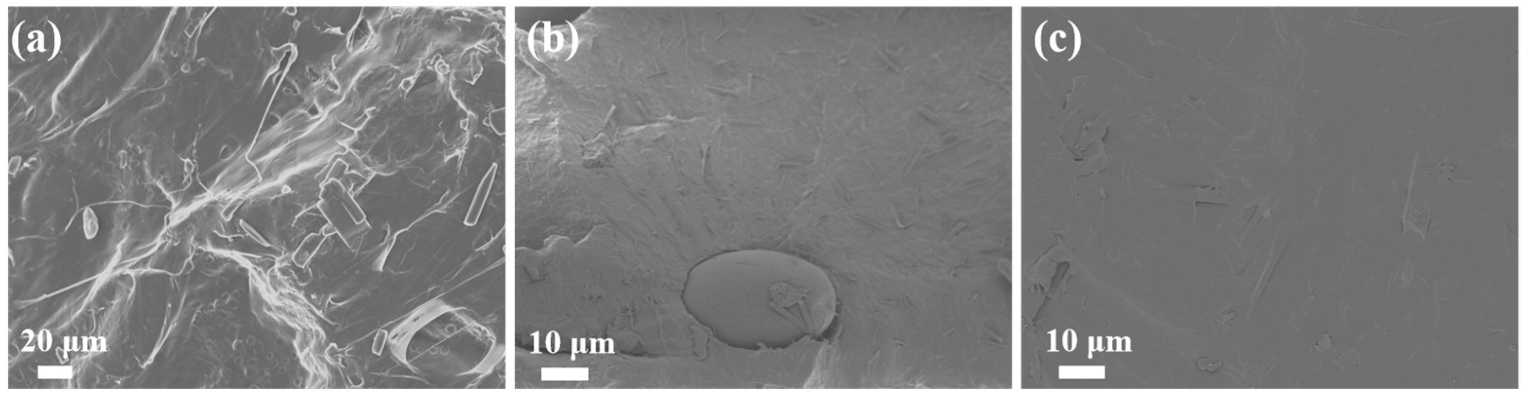 Molecules 30 04088 g007