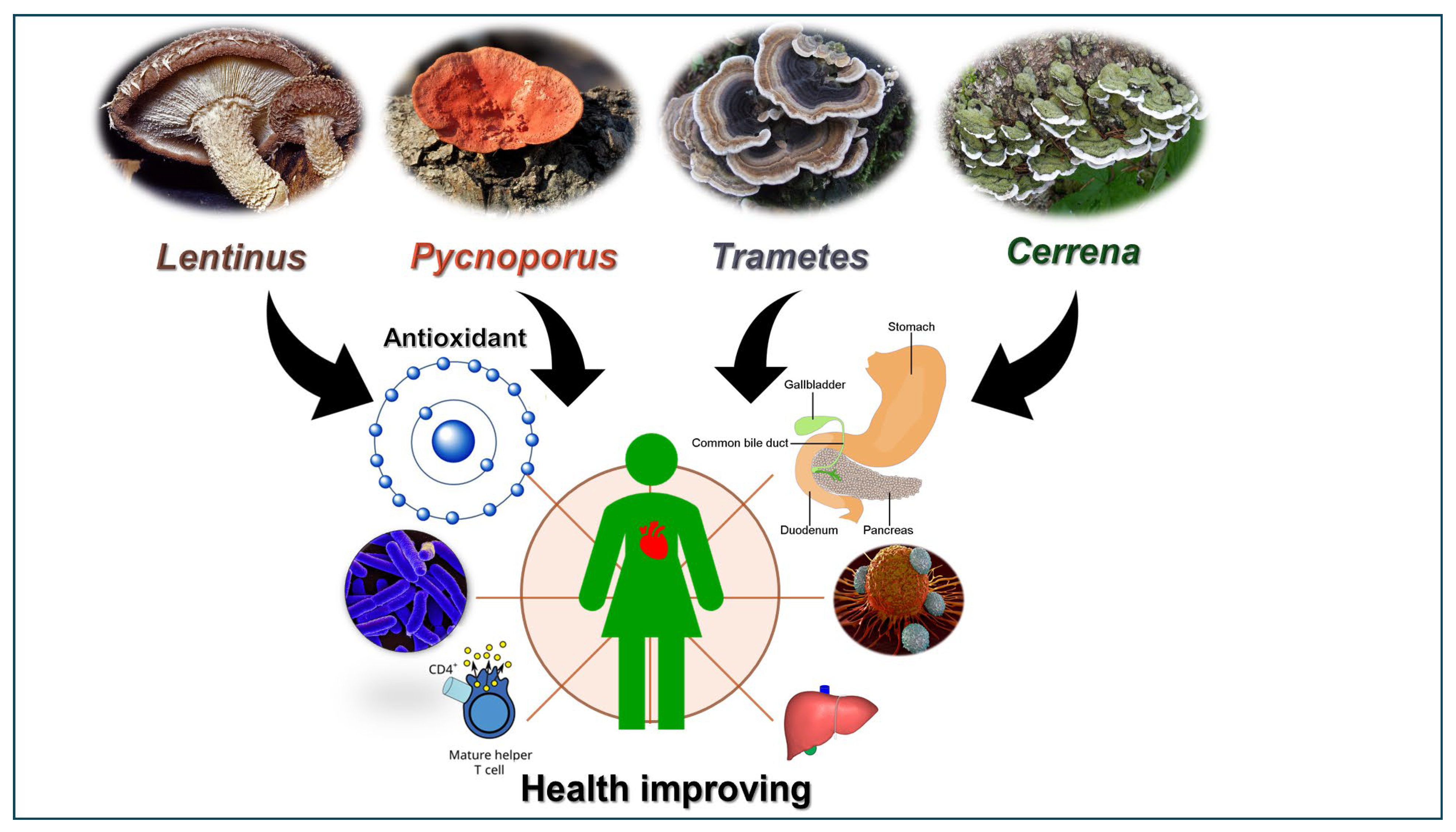 Molecules 30 04089 g001 Molecules 30 04089 g001
