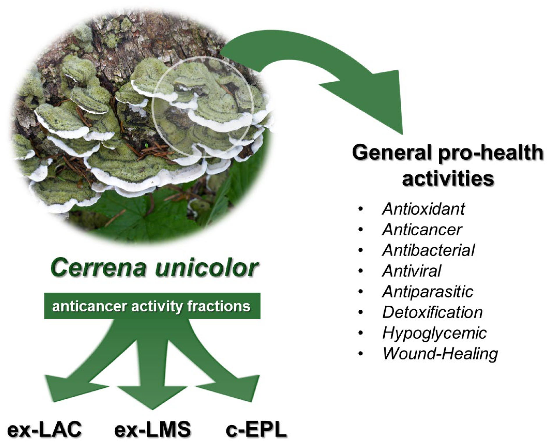 Molecules 30 04089 g002 Molecules 30 04089 g002