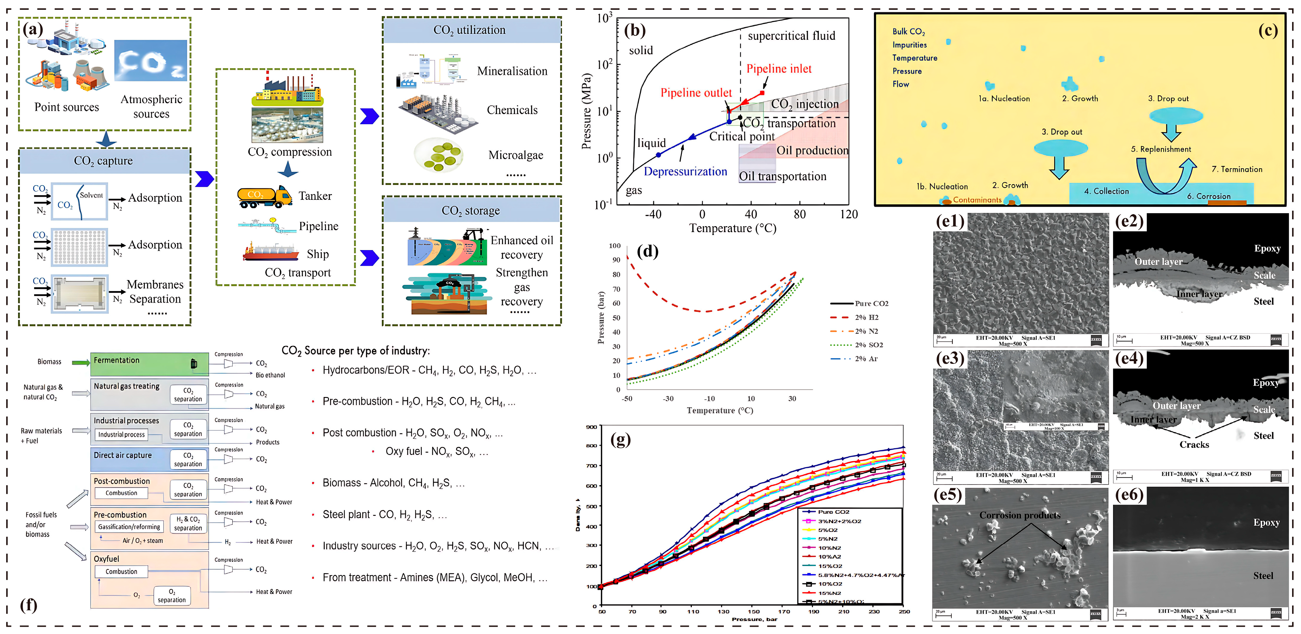 Molecules 30 04094 g001