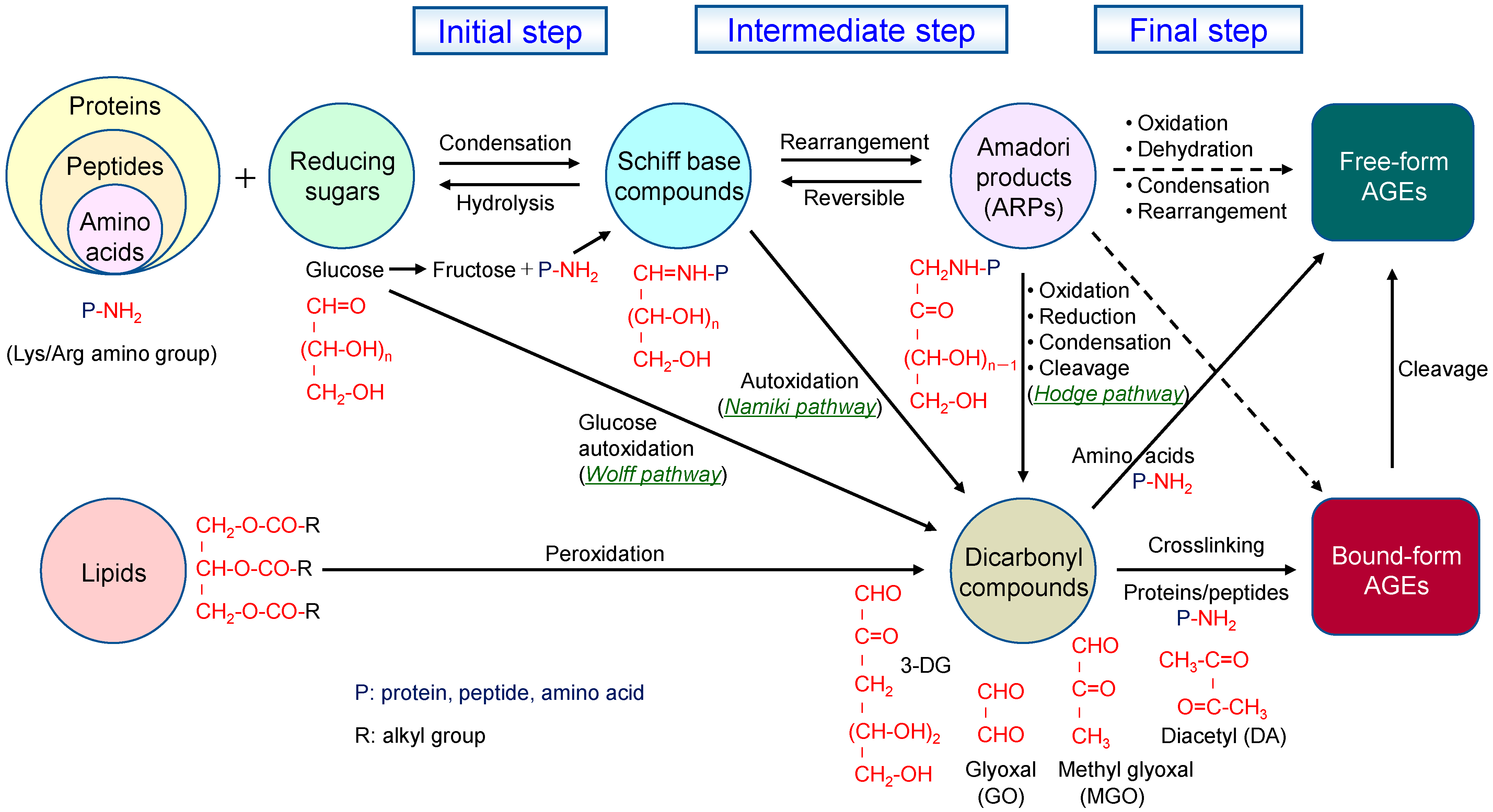 Molecules 30 04095 g001 Molecules 30 04095 g001