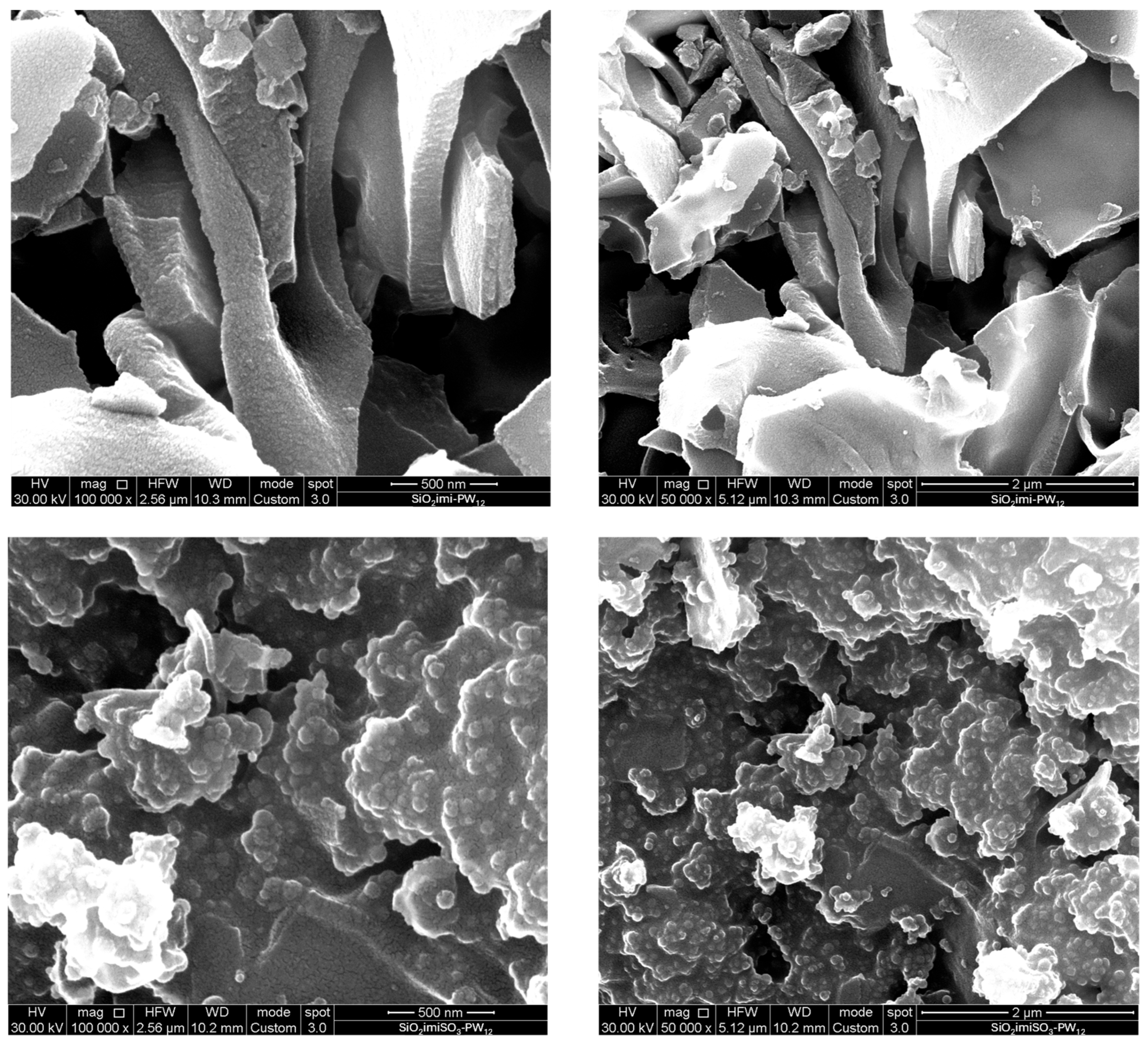 Molecules 30 04097 g008 Molecules 30 04097 g008