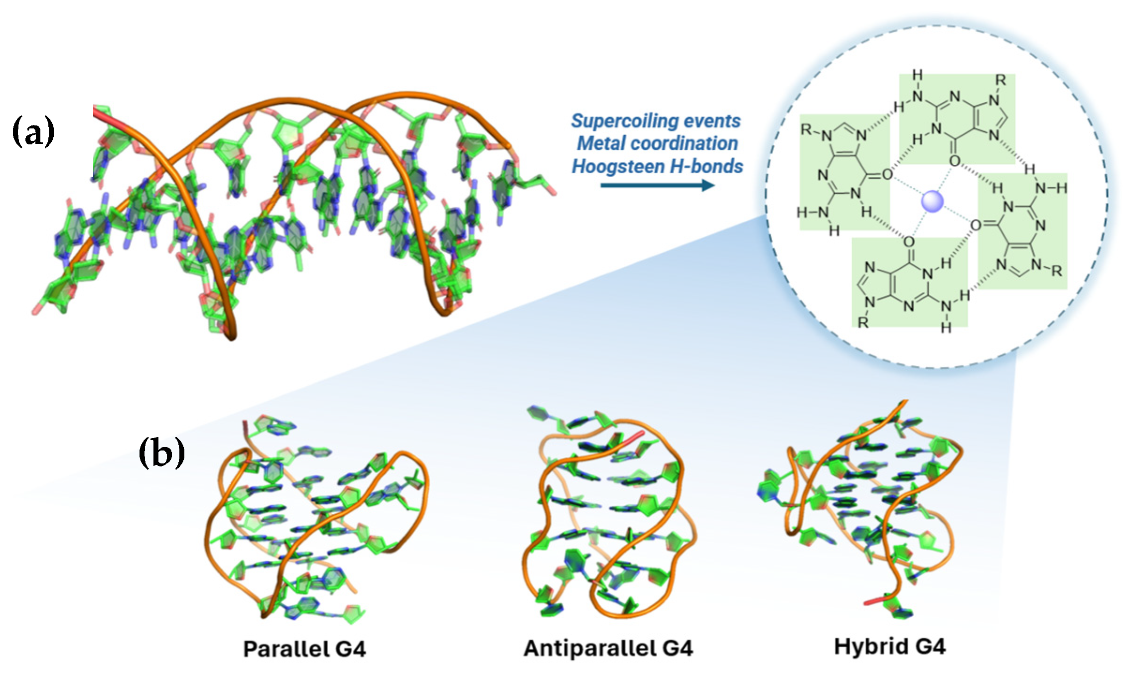 Molecules 30 04099 g001