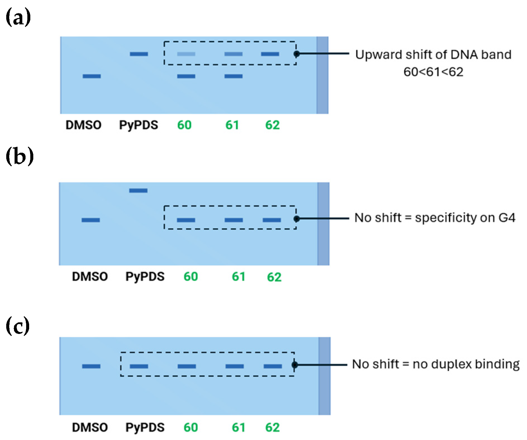 Molecules 30 04099 g039